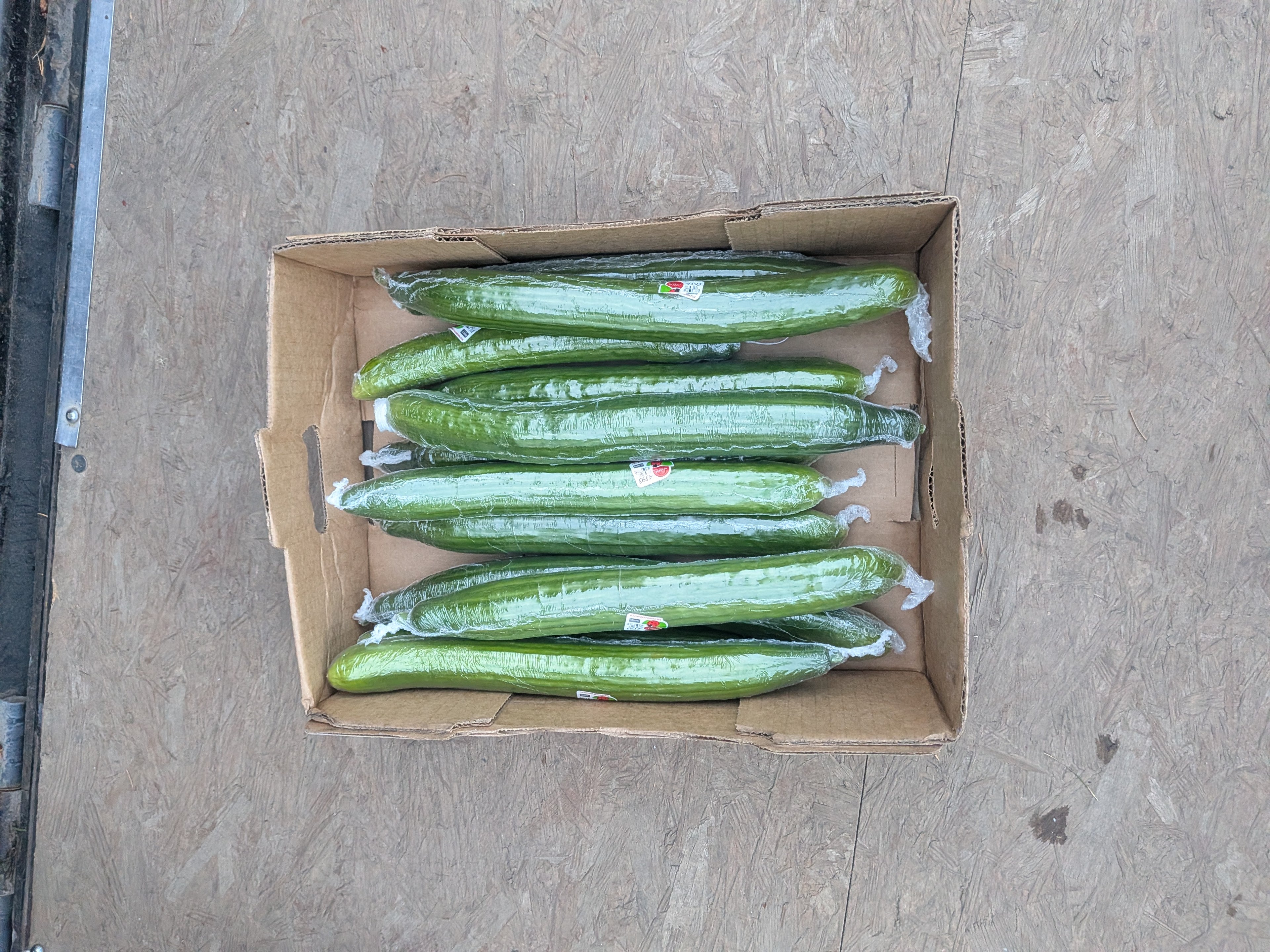 Cucumber english 12 count Vegetables