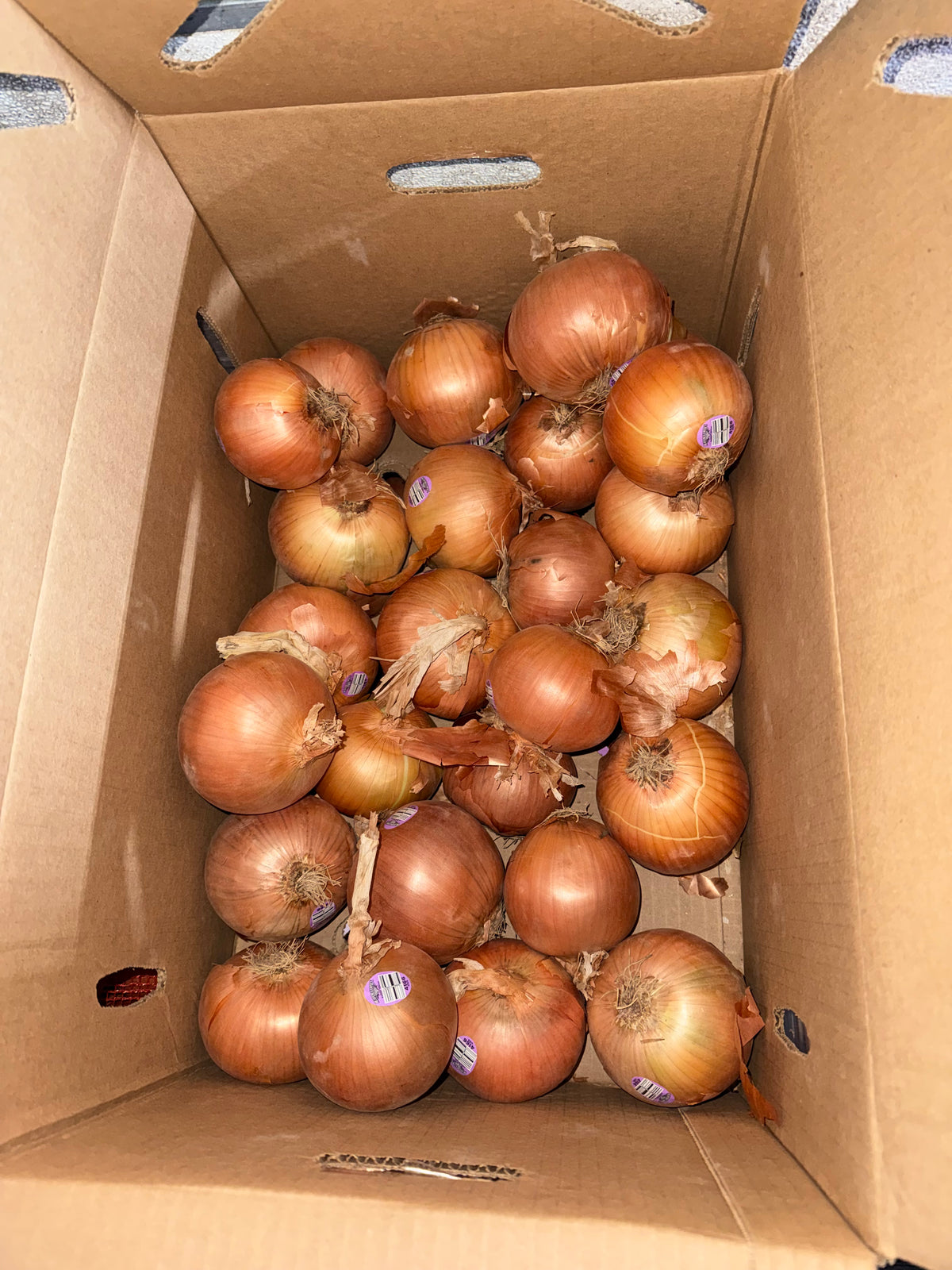 Onions sweet 20 pounds