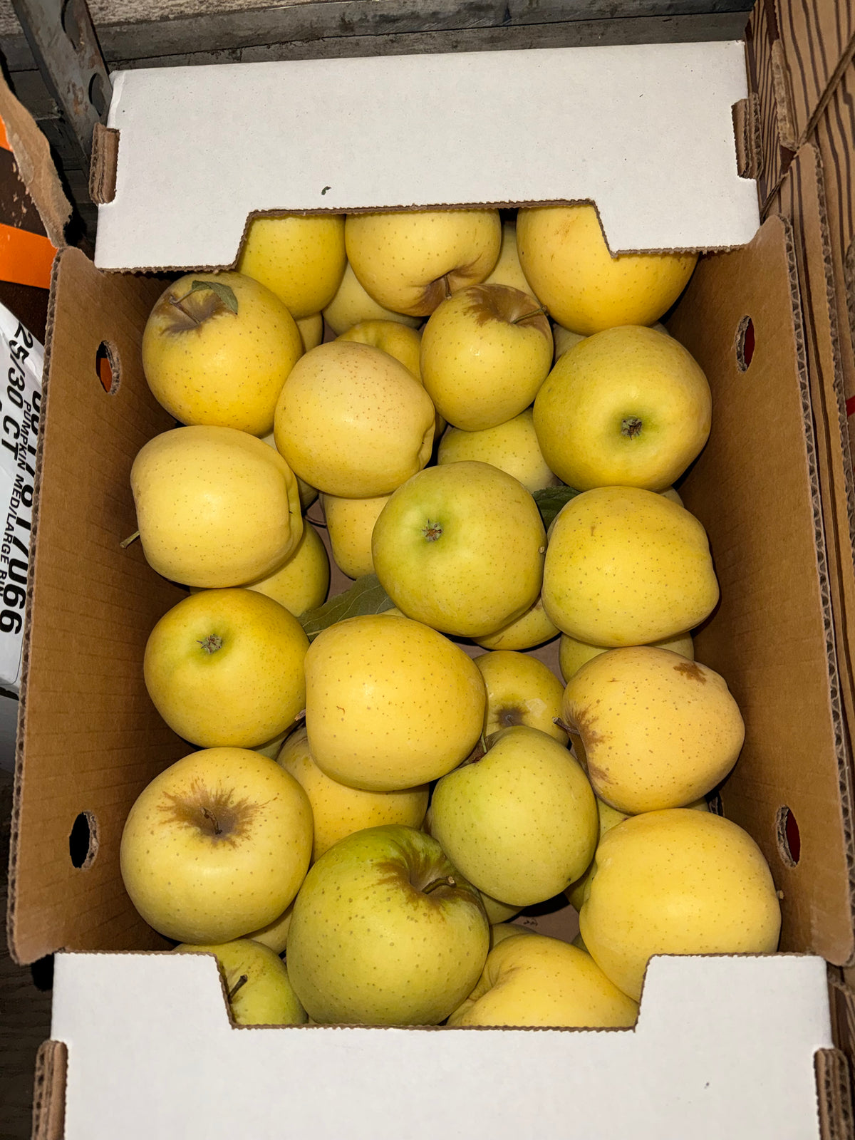 Apples Golden Delicious 20 pounds