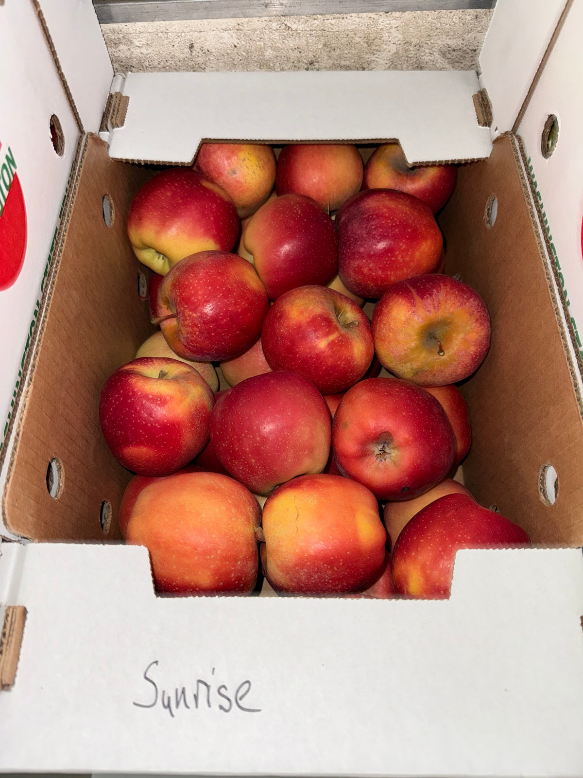 Apples Organic Magic Sunrise 20 pounds