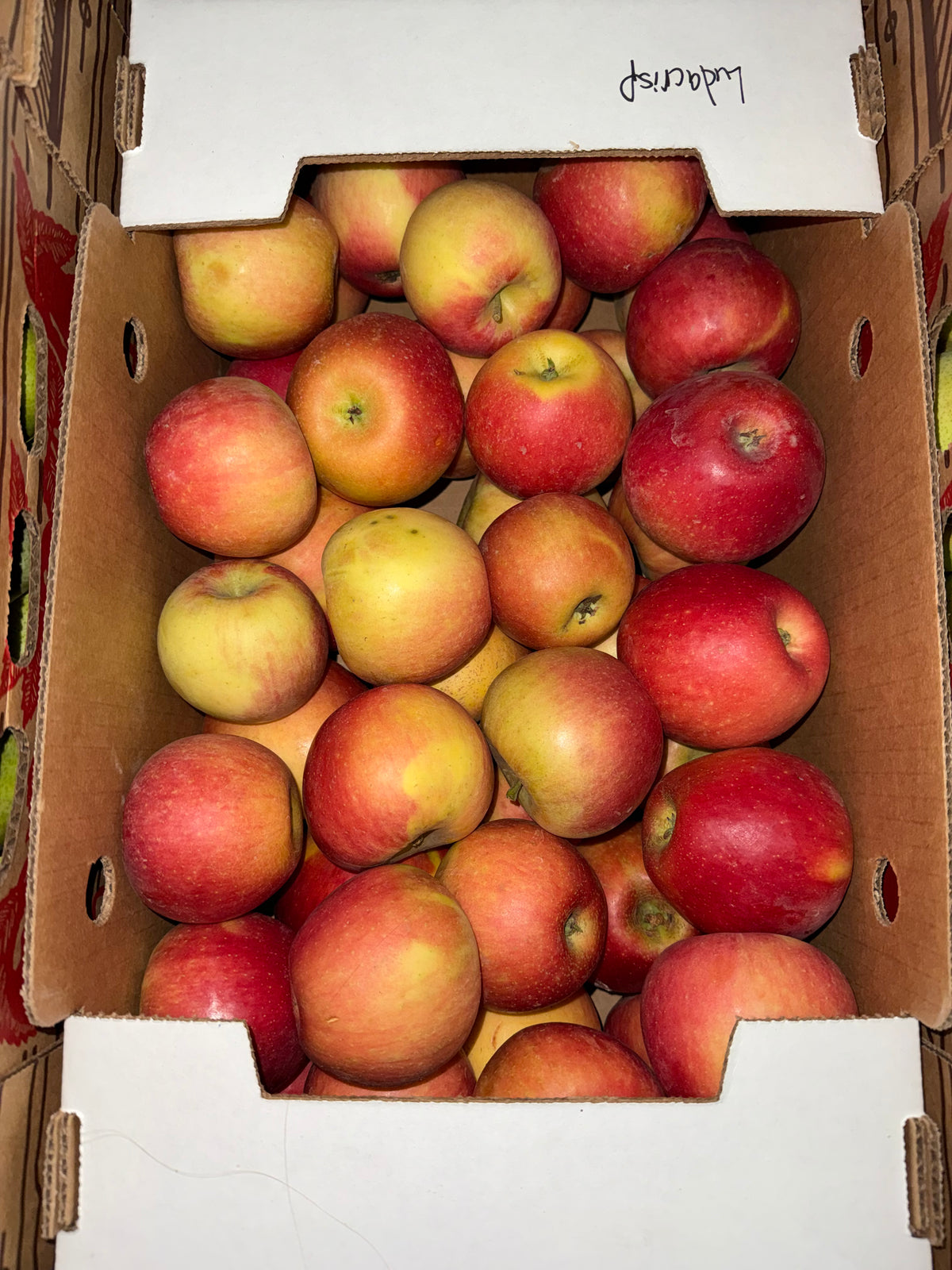 Apples Ludacrisp 20 pounds