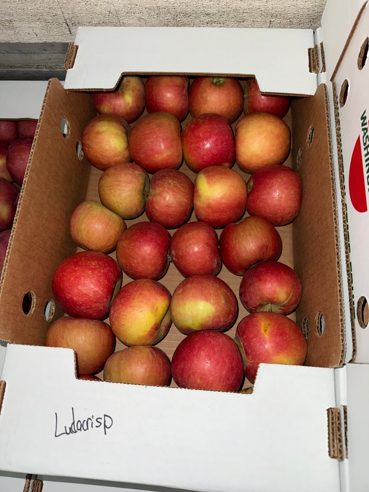 Apples Ludacrisp 10 pounds