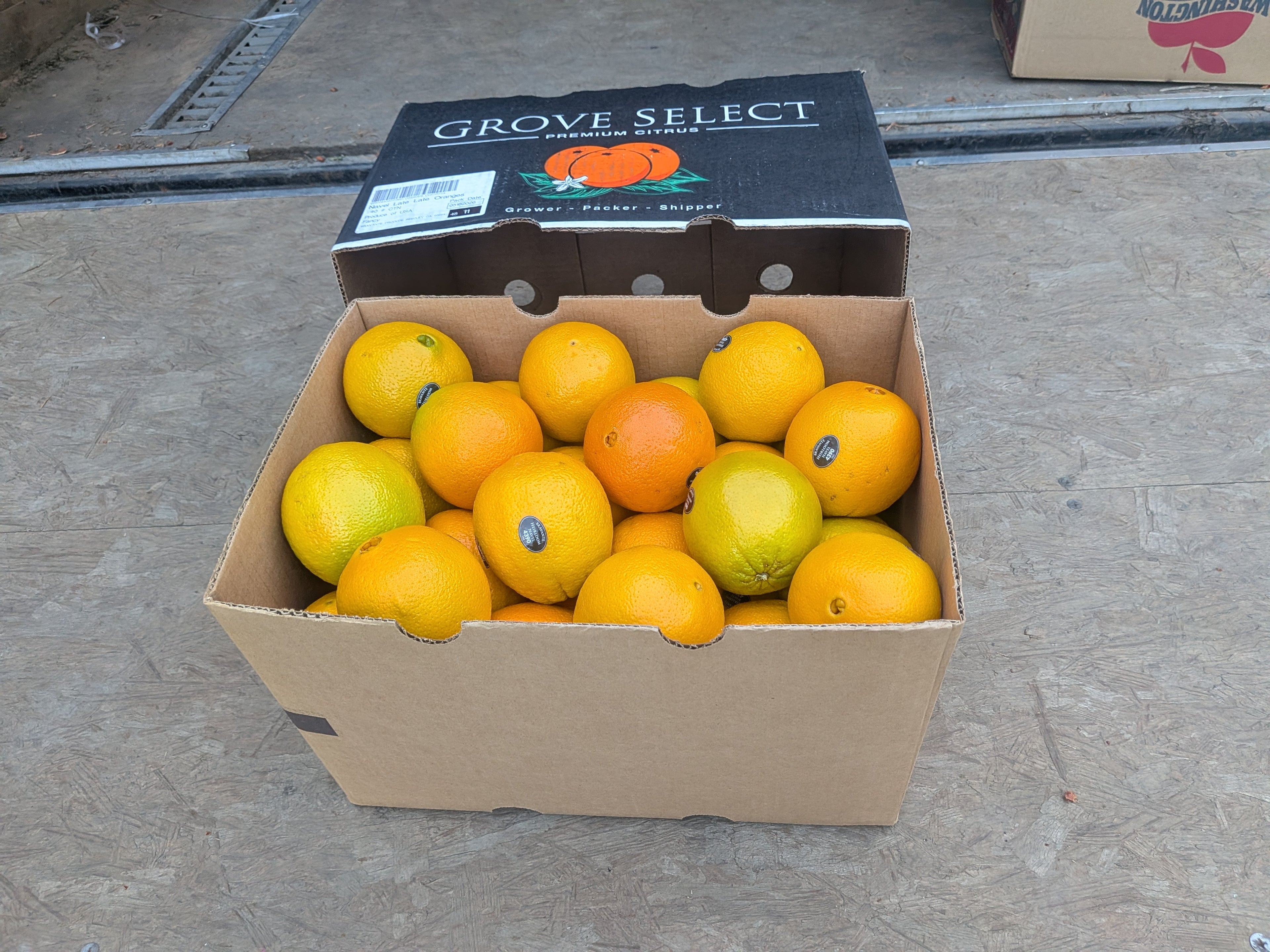 Orange navel heirloom 38 pounds Citrus