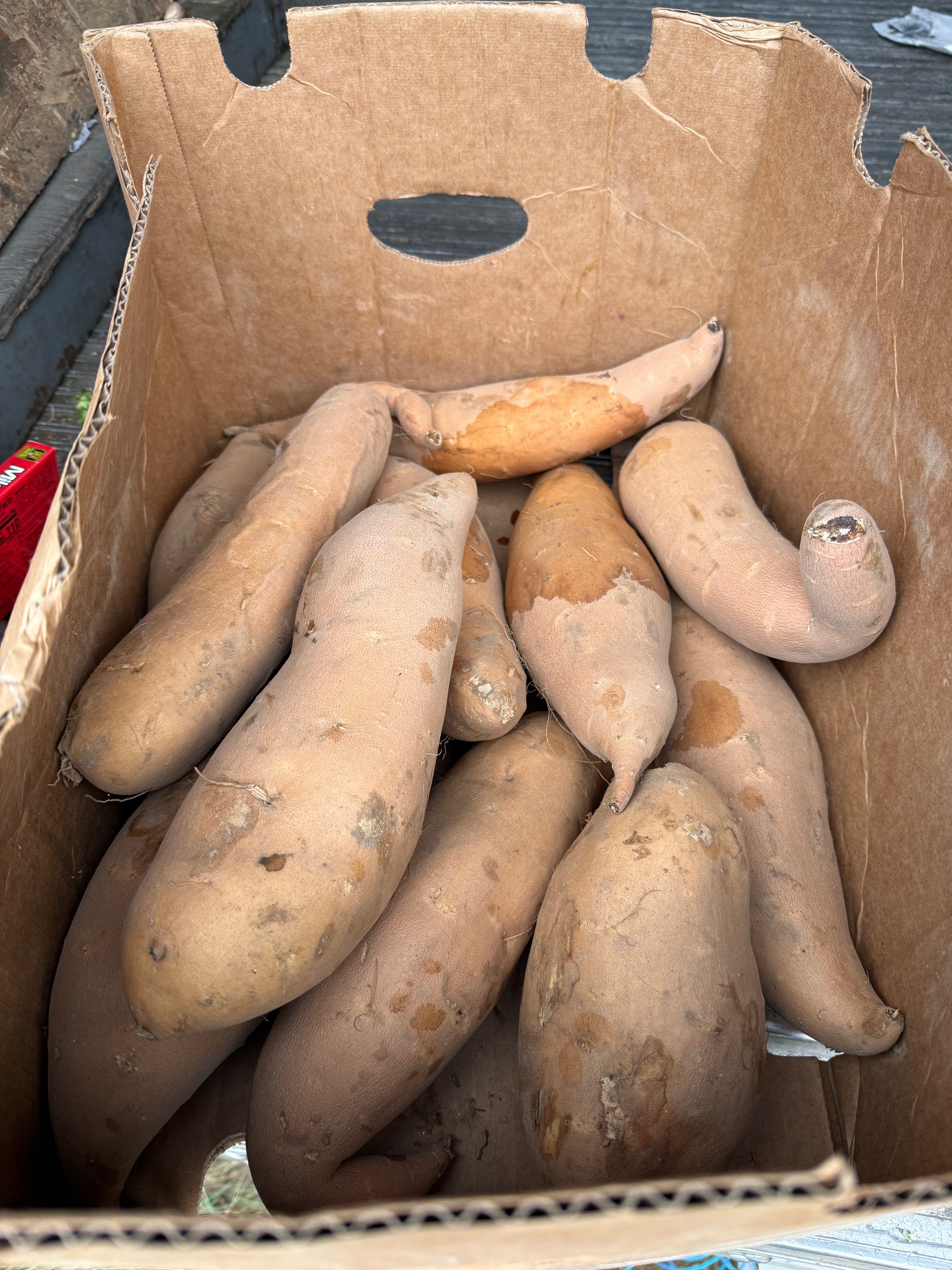Potato Sweet White Flesh 20 pounds