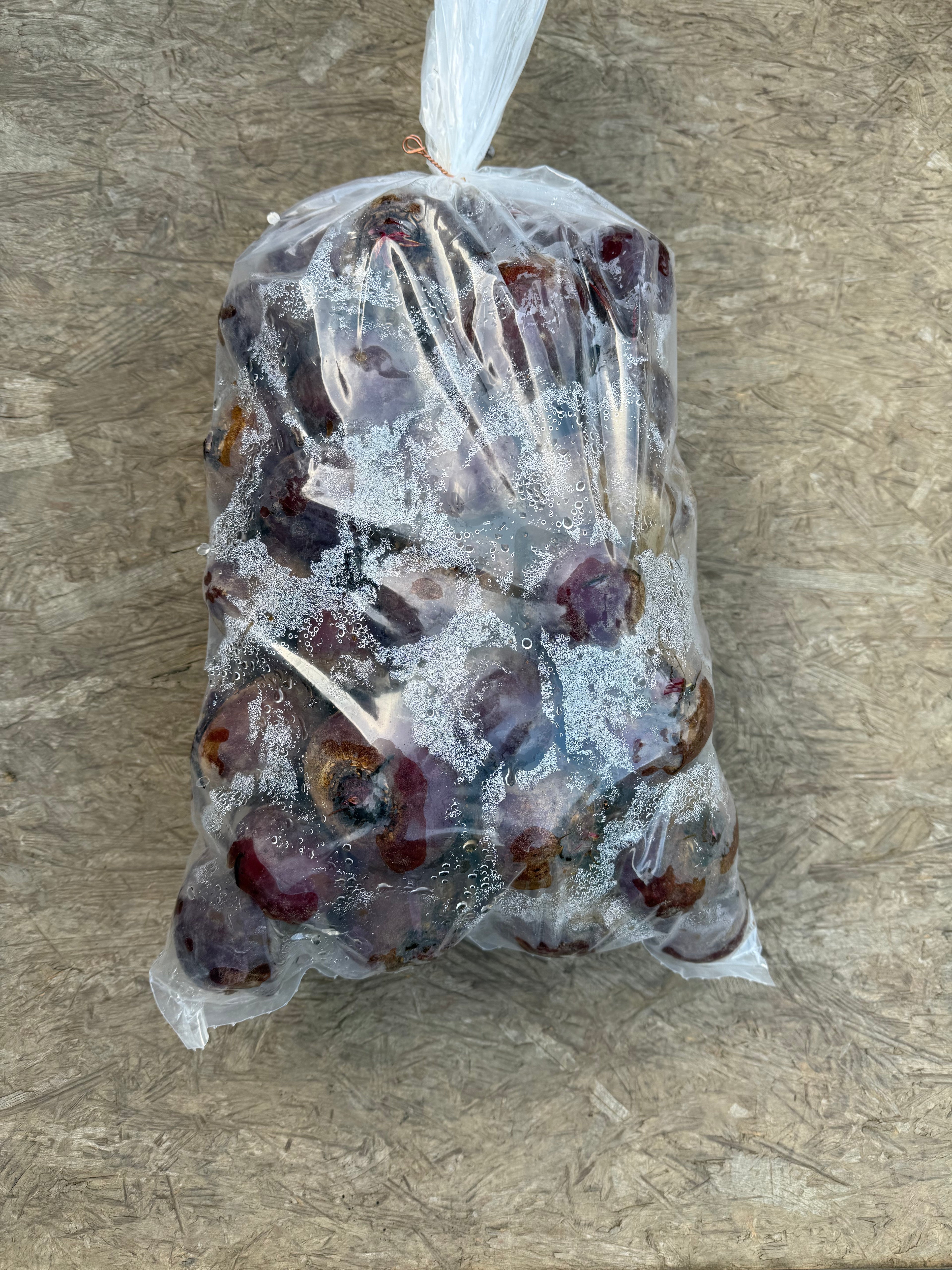Beet Organic red 25 pounds