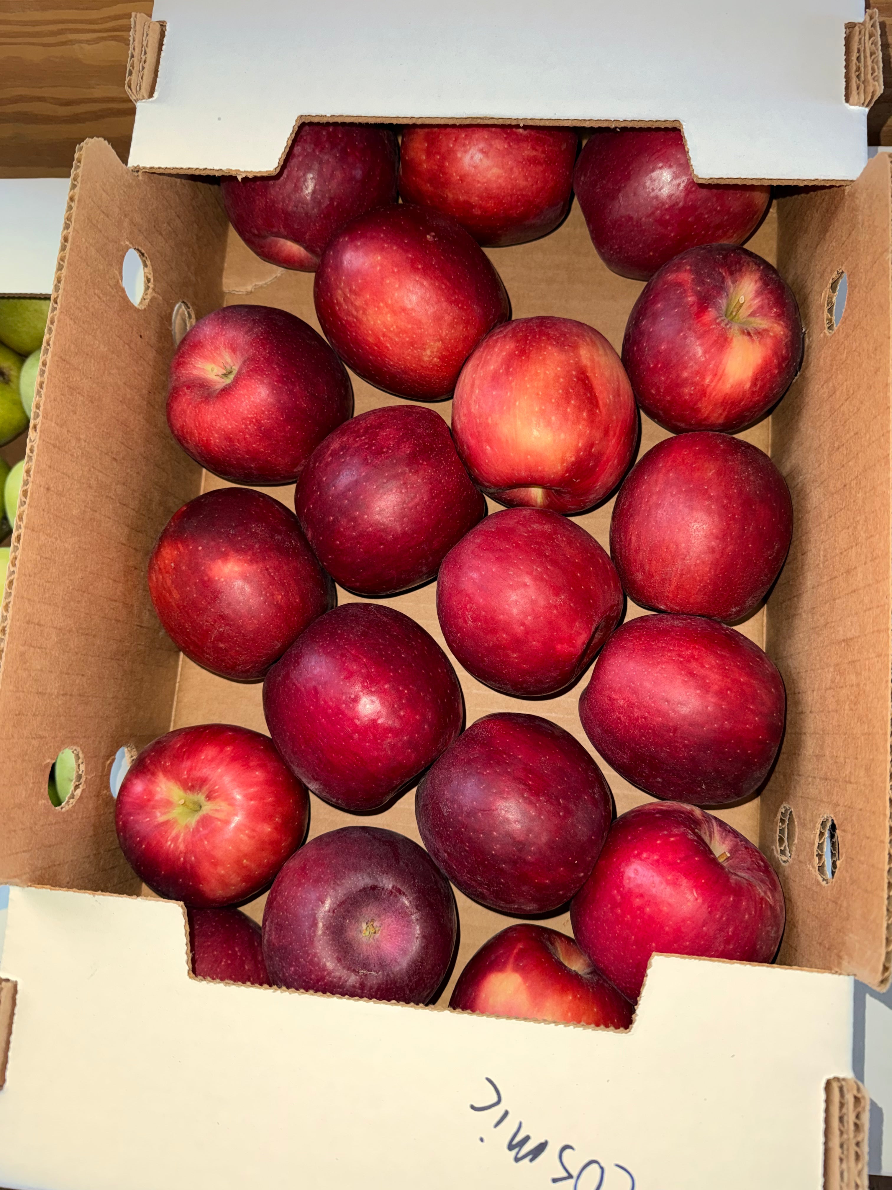 Apple Cosmic Crisp 10 pounds
