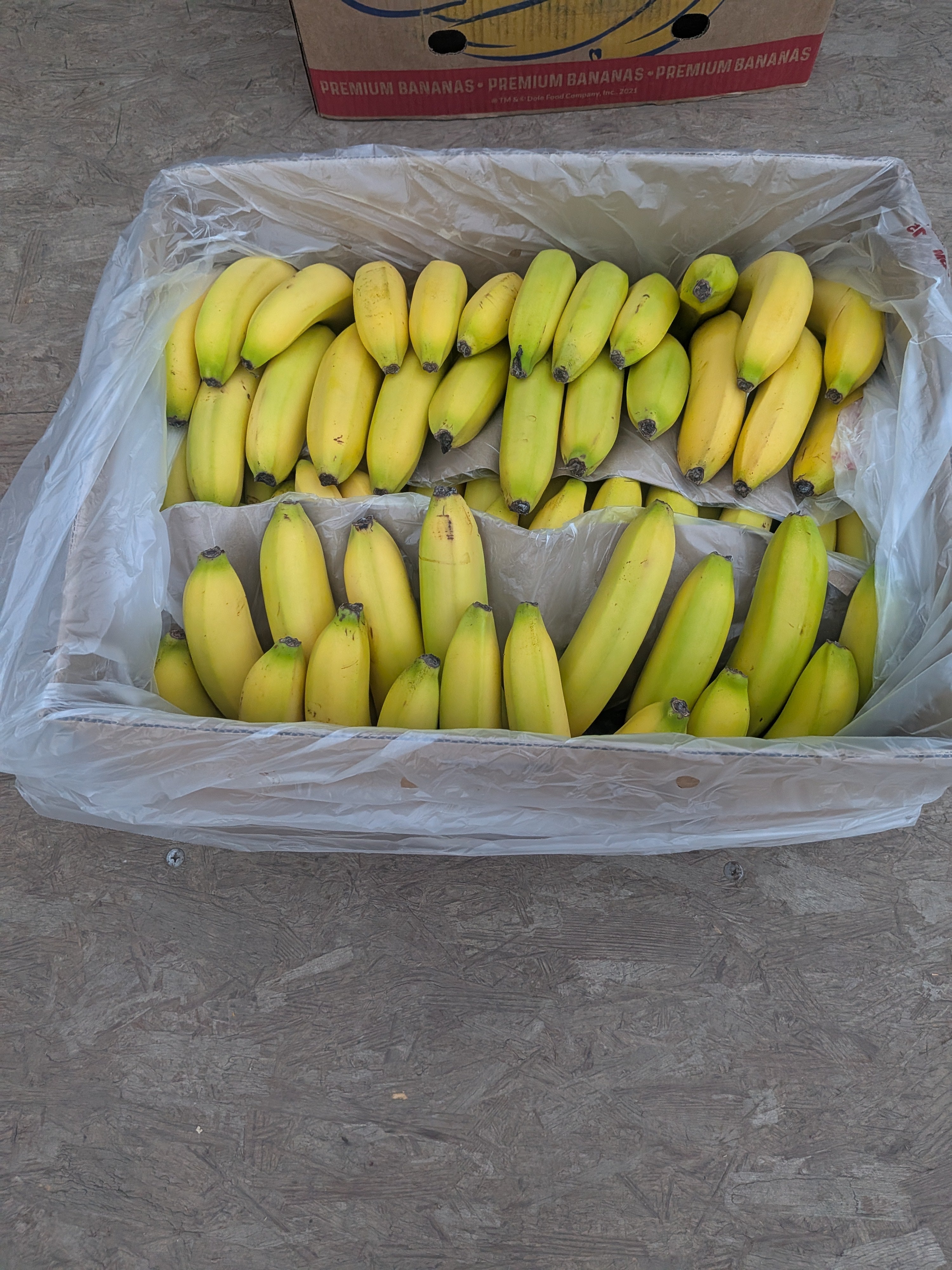 Banana 20 pounds miscellaneous