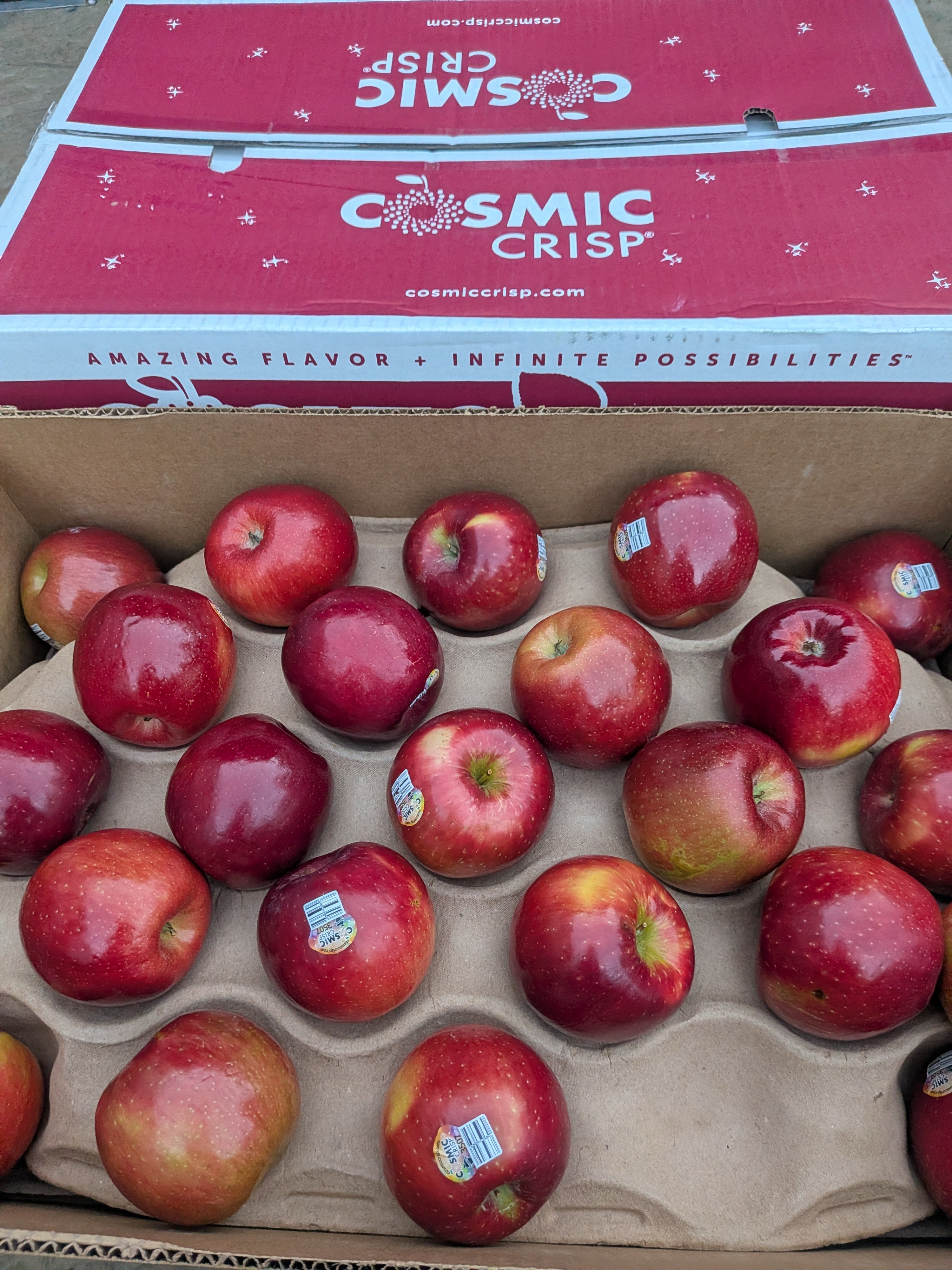 Apples Cosmic crisp 20 pounds apples