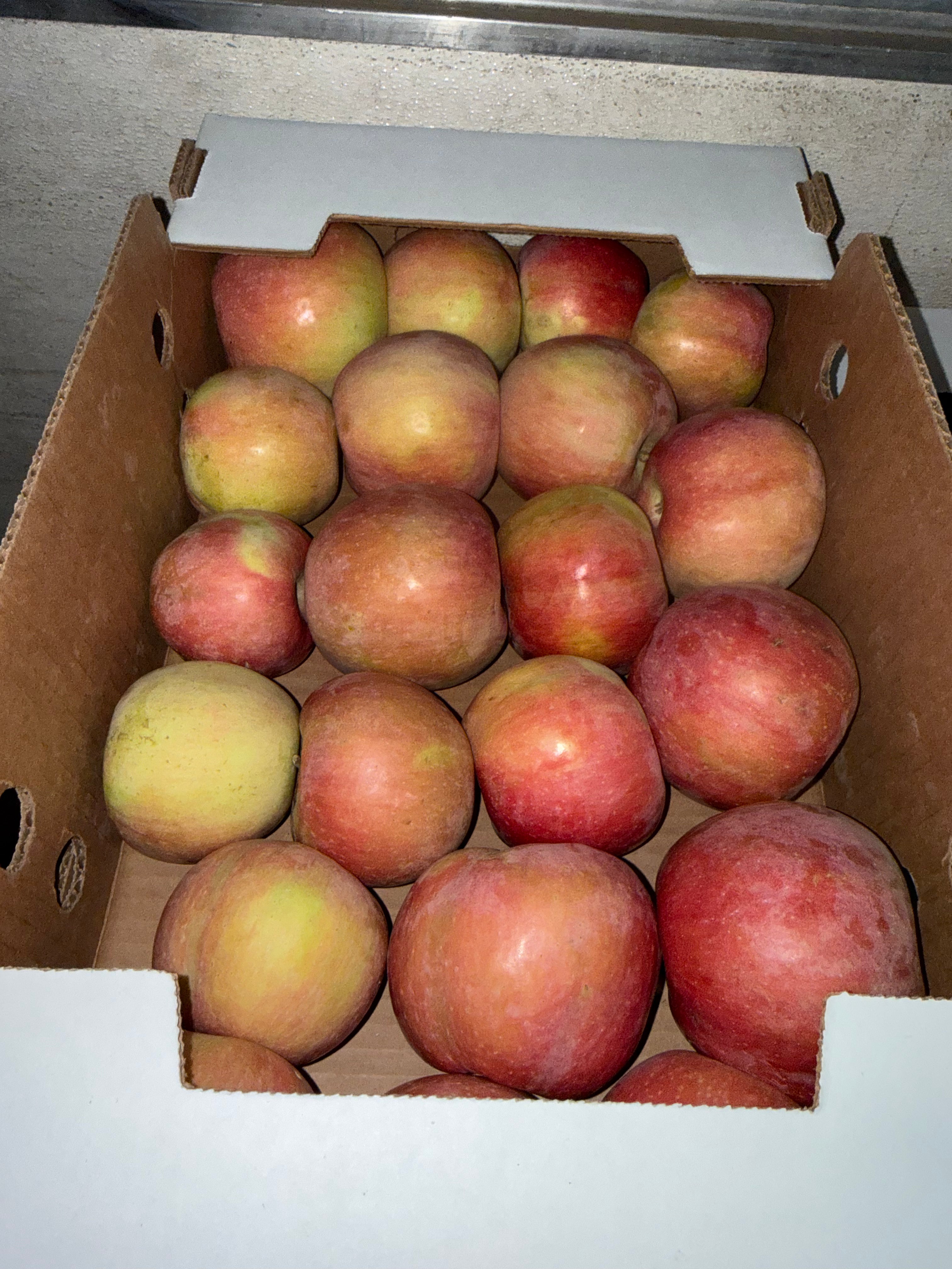 Apples Fuji 10 pounds