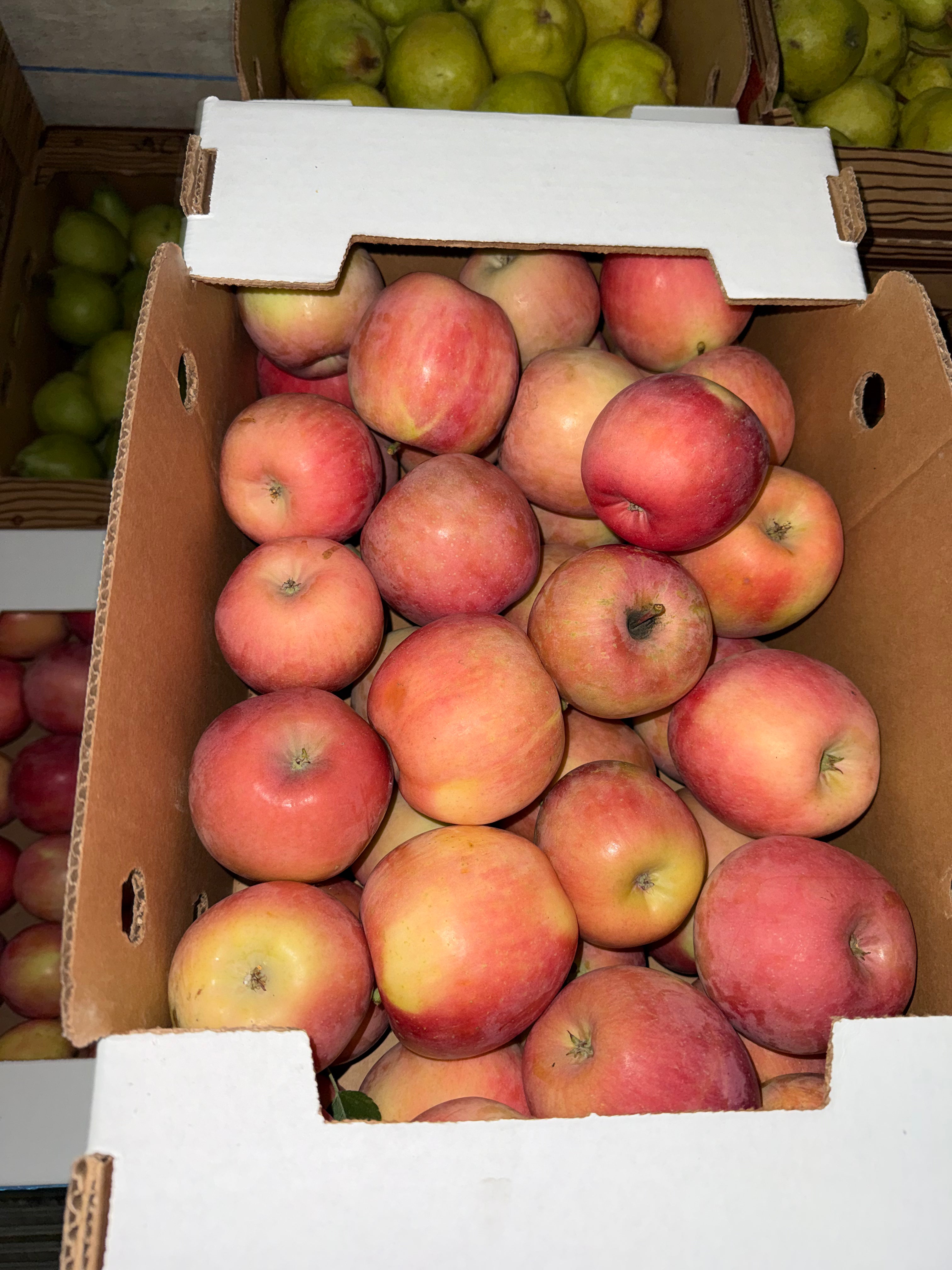 Apples Fuji 20 pounds