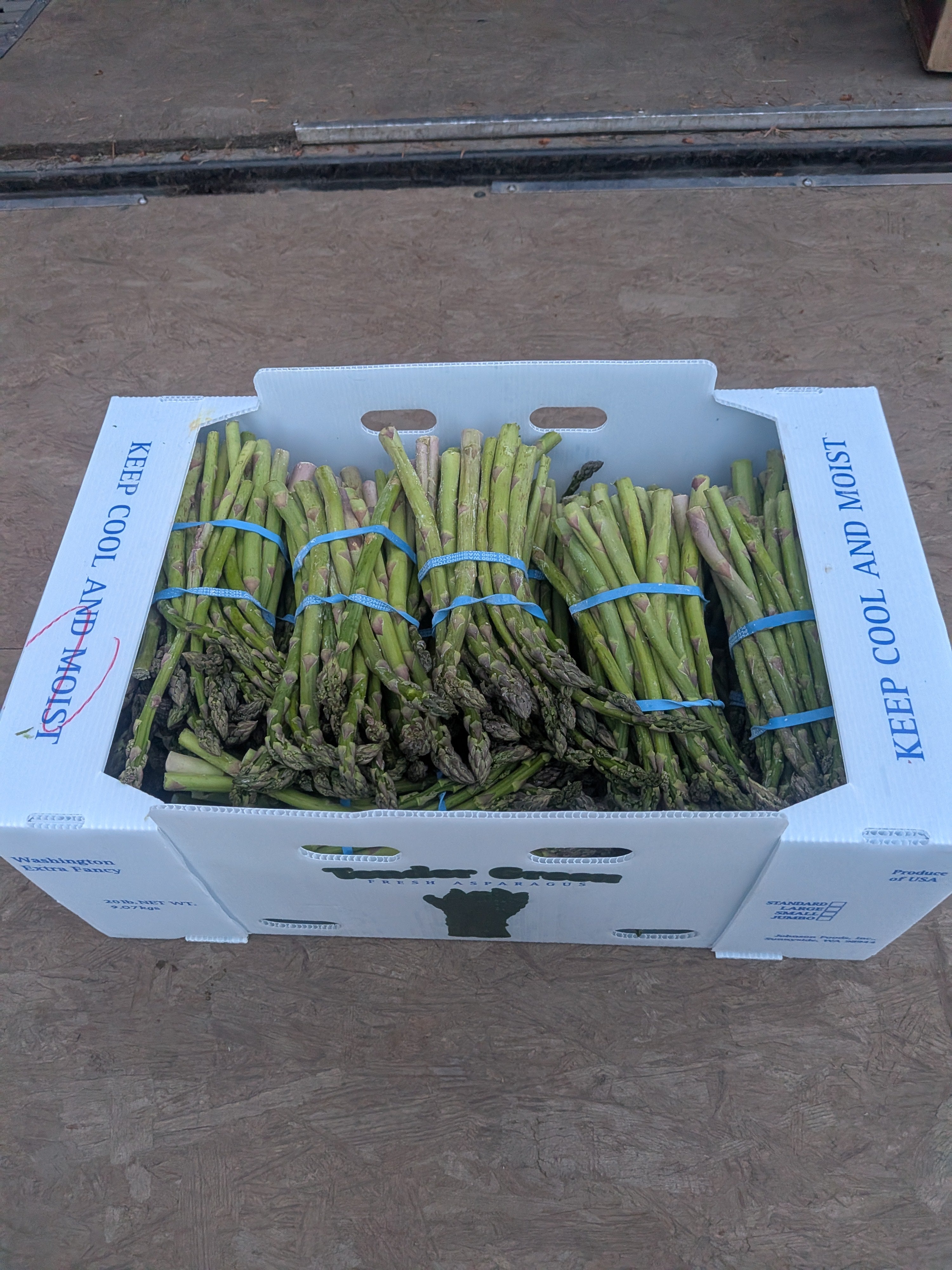 Asparagus 20 pounds Vegetables