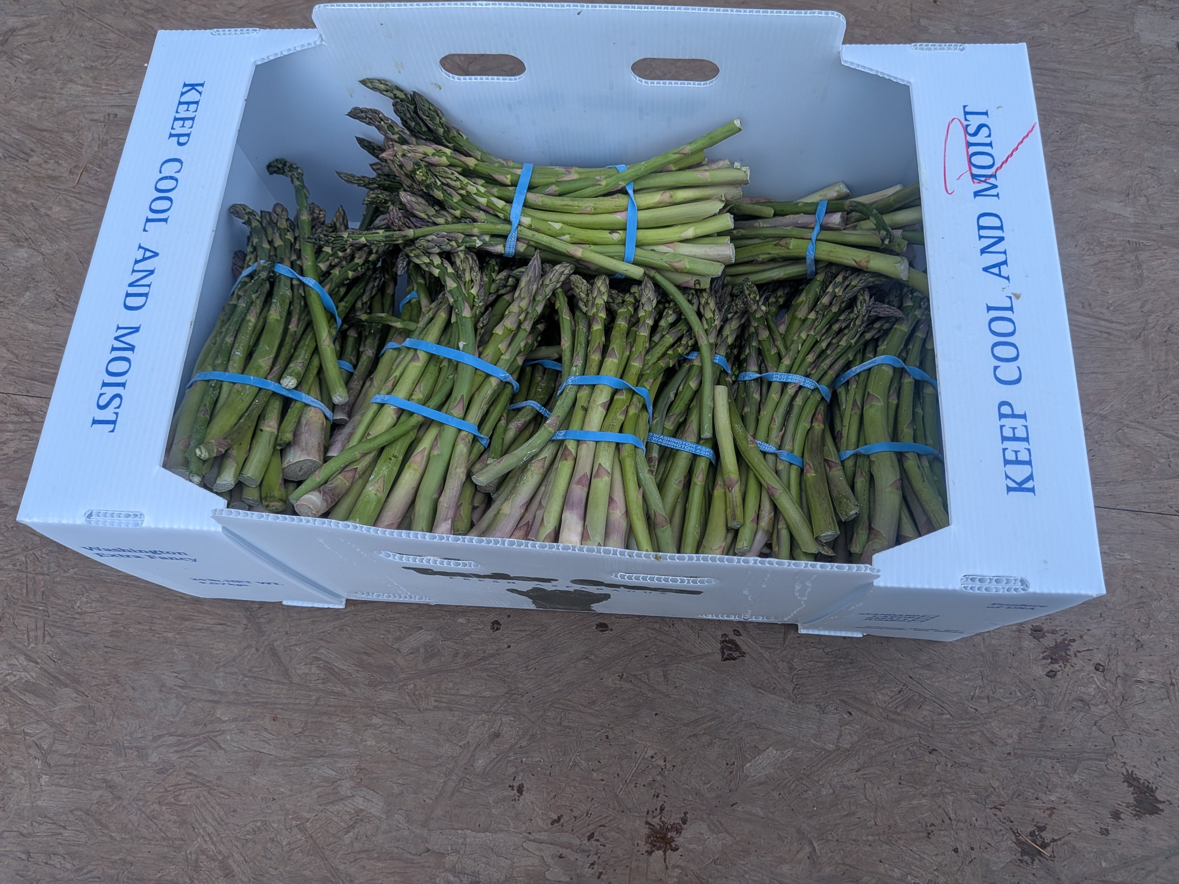 Asparagus 10 pounds Vegetables