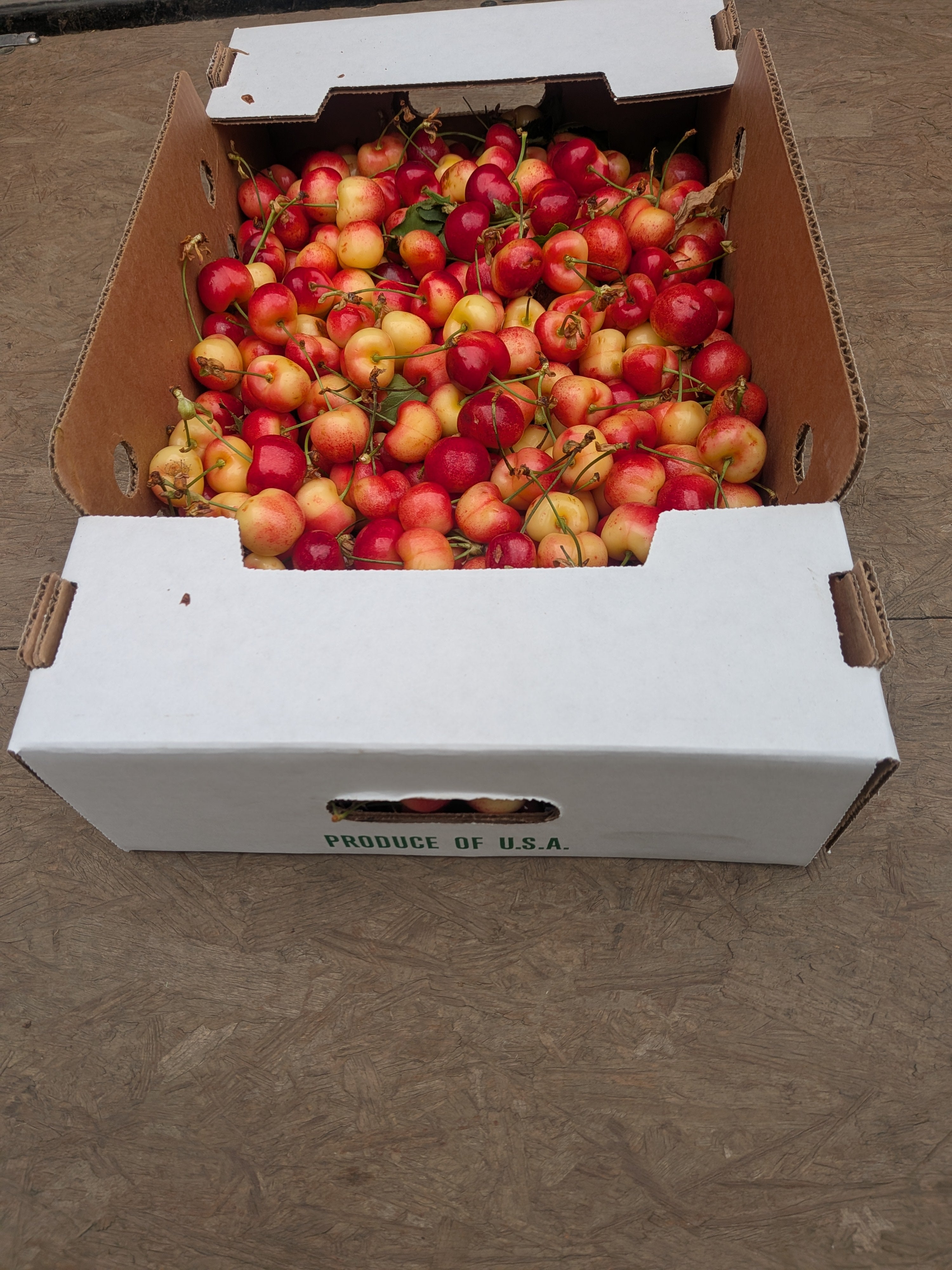 Cherries Rainier 10 pounds