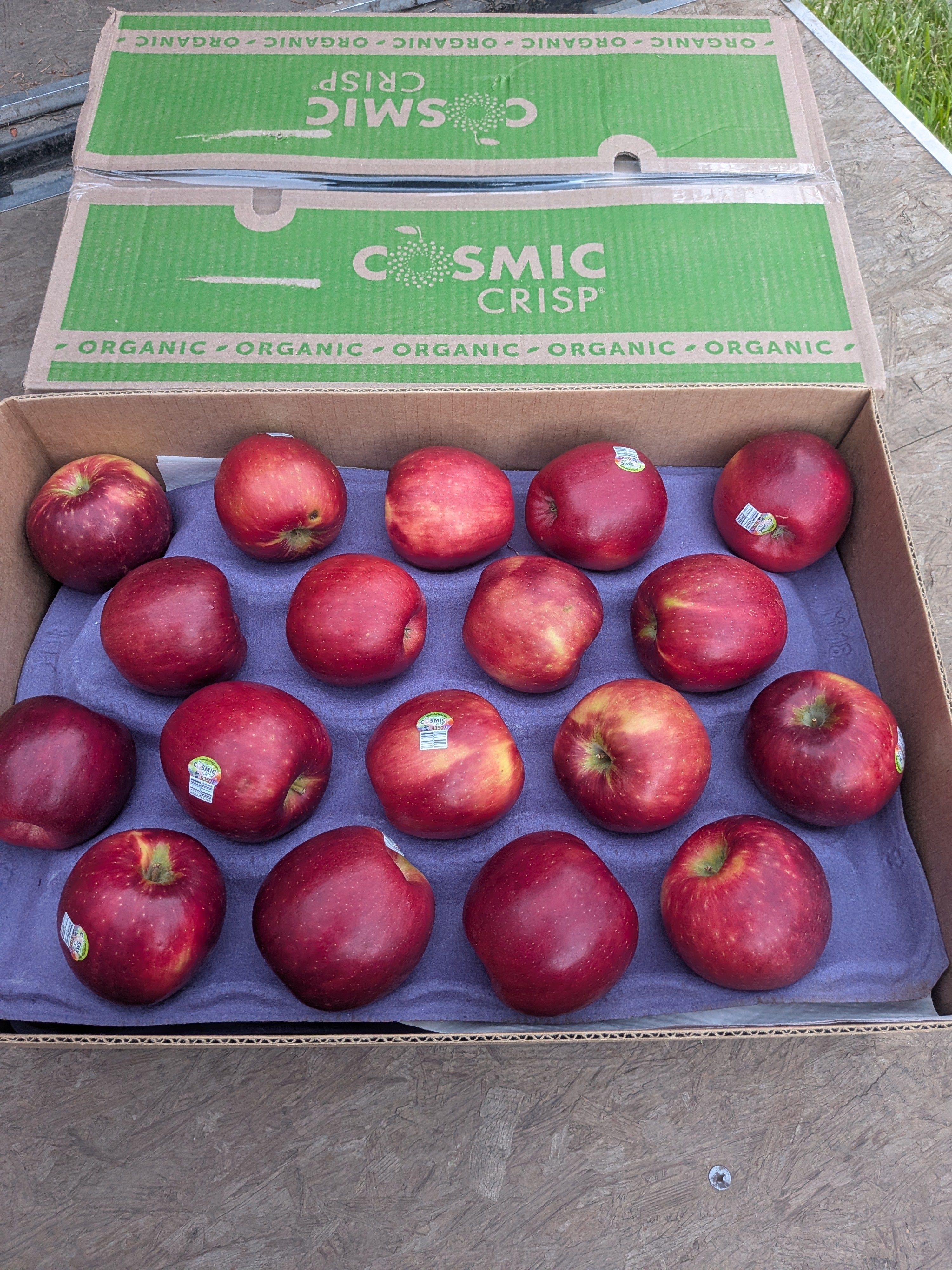Apples organic Cosmic crisp 27 pounds apples