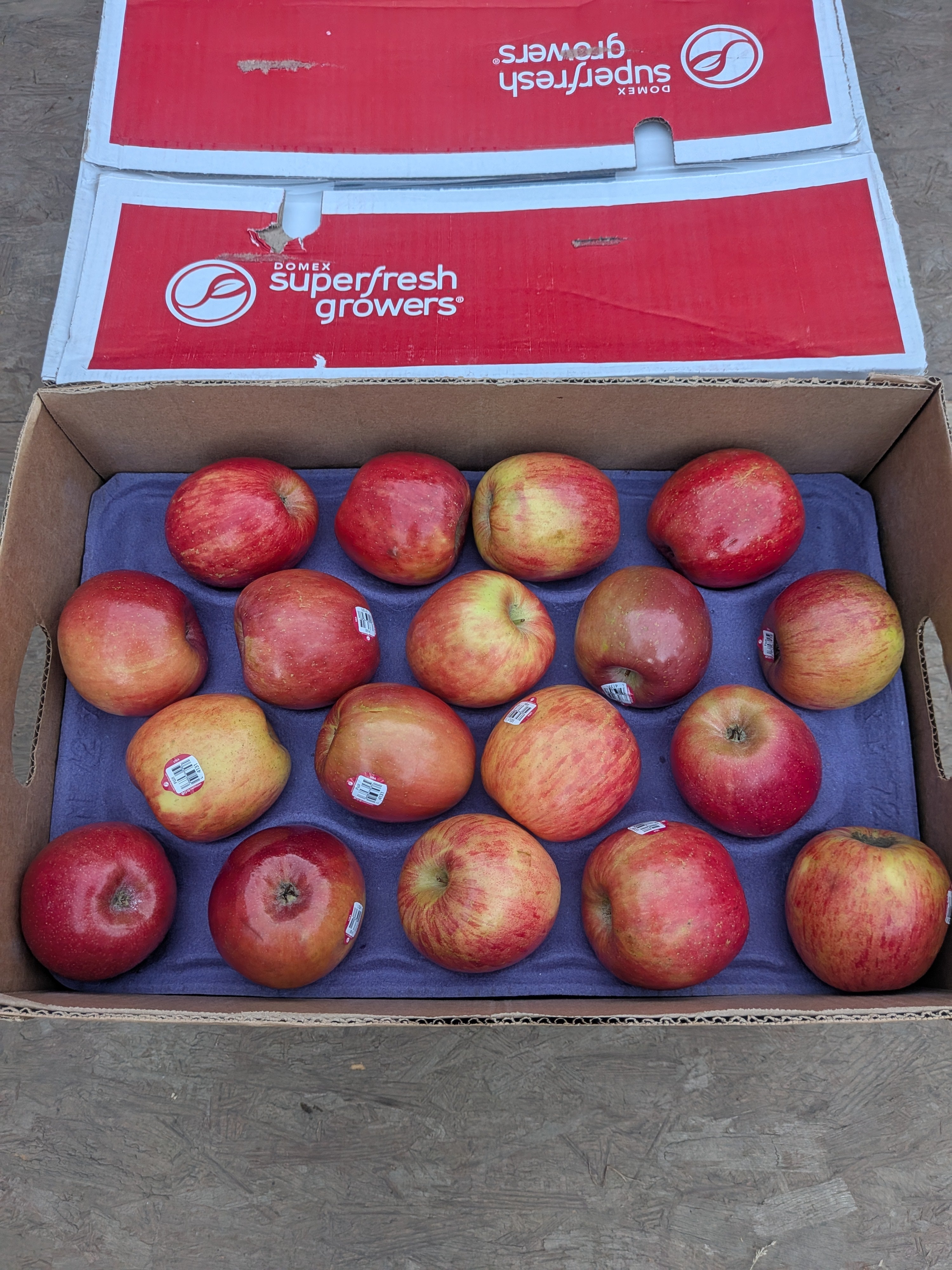 Apples Fuji 40 pounds Apples
