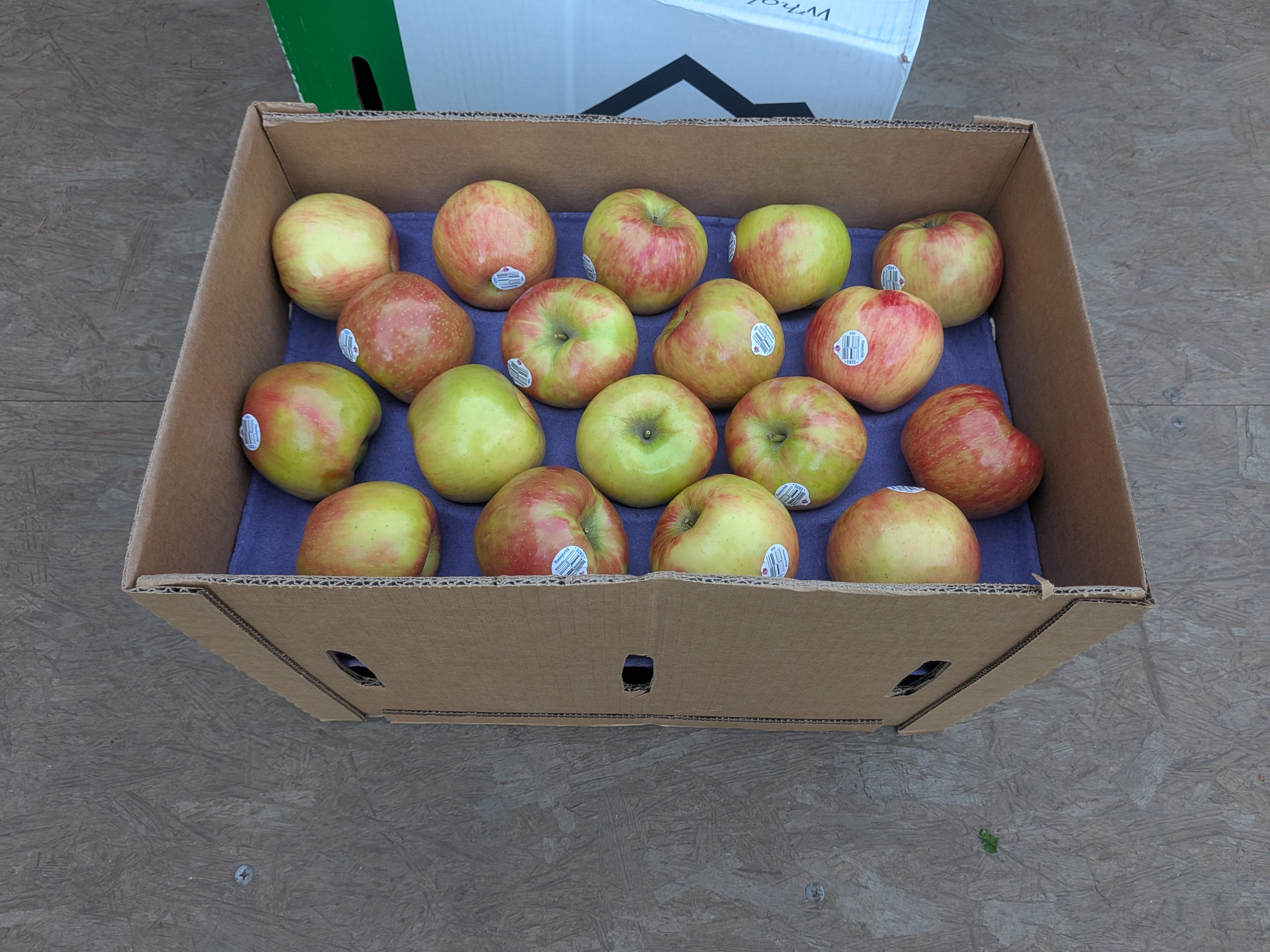Apples Honeycrisp 40 pounds Apples