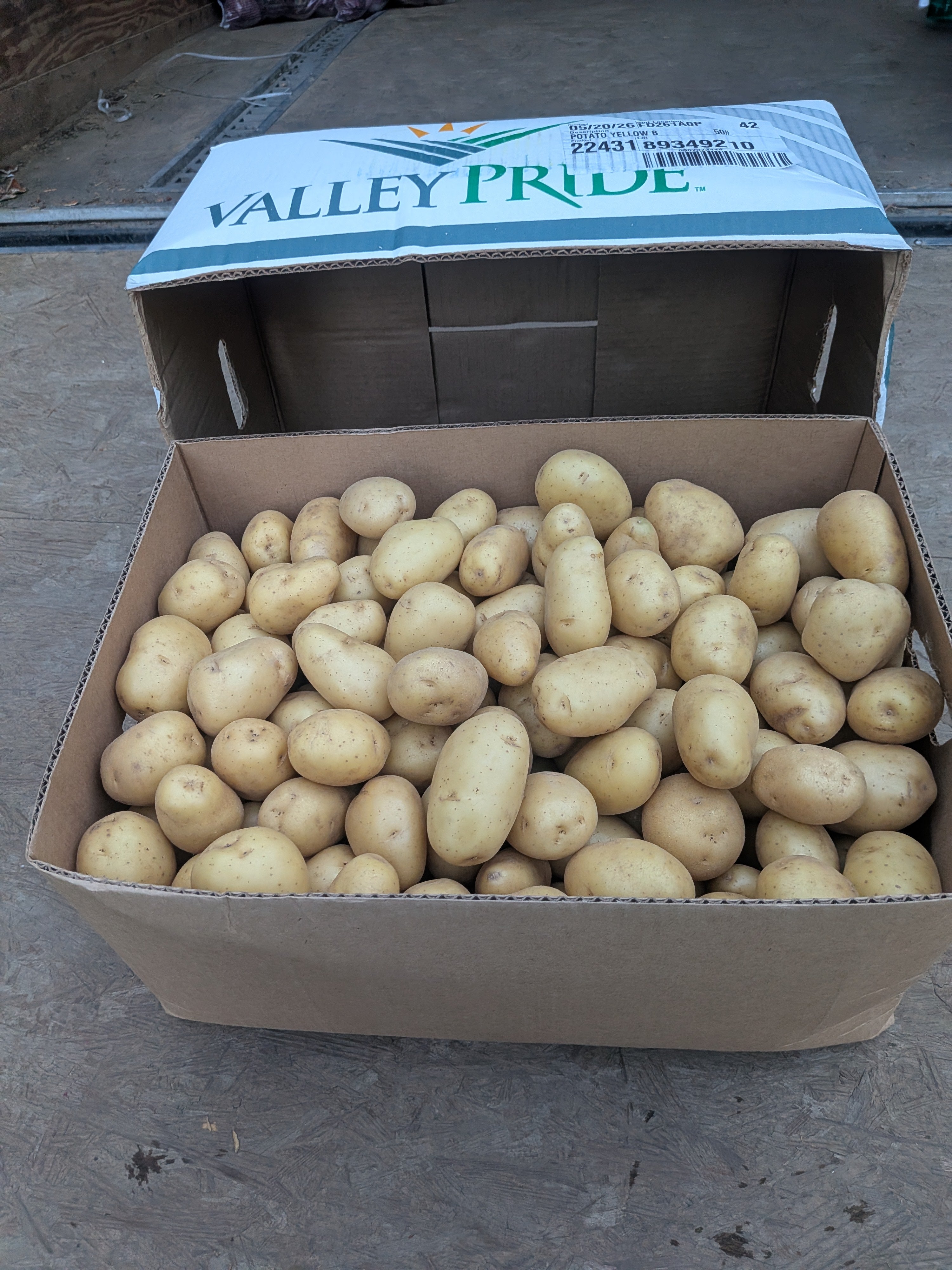 Potato yellow 50 pounds Root Vegetables