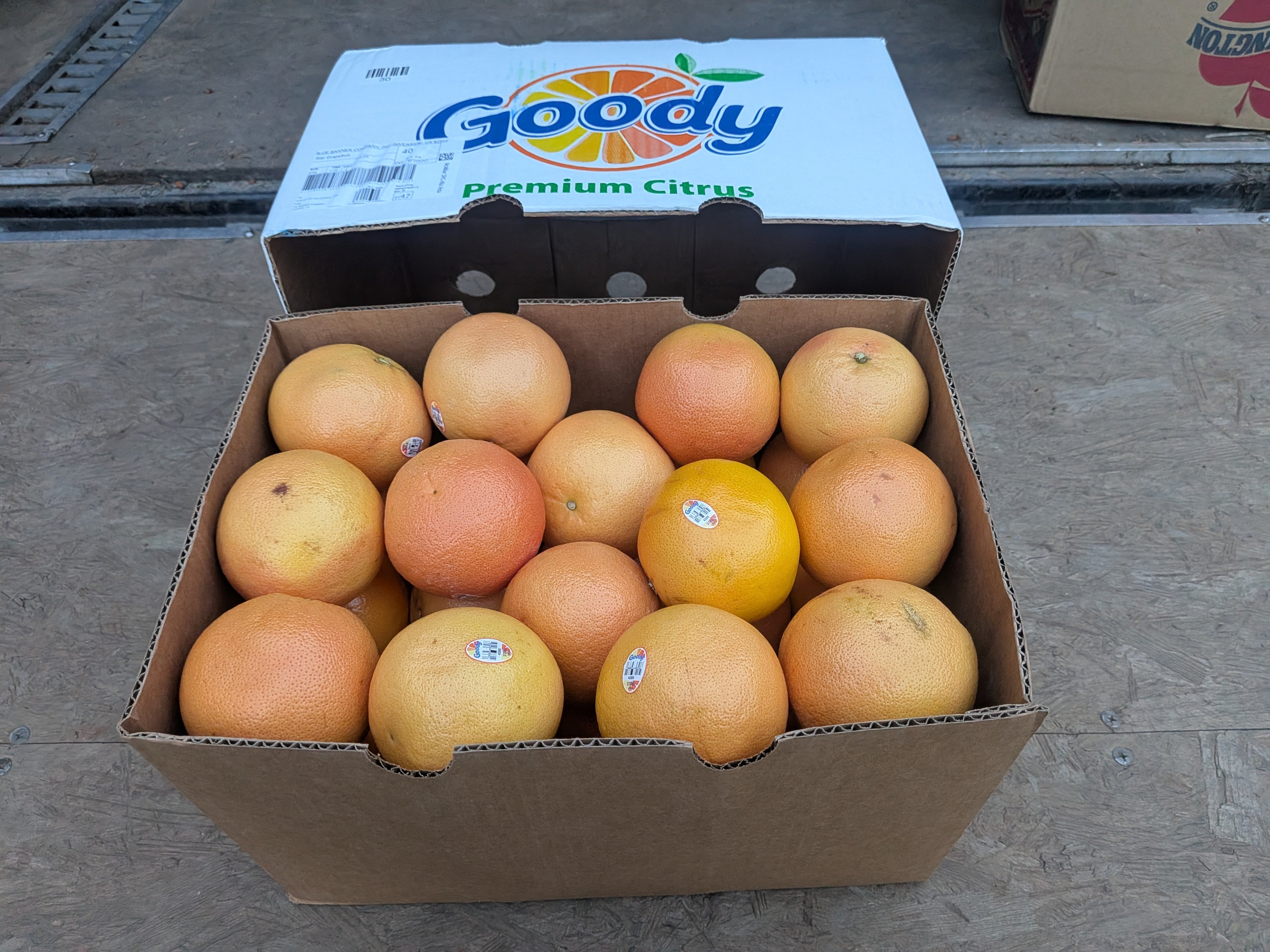 Grapefruit 40 count Citrus