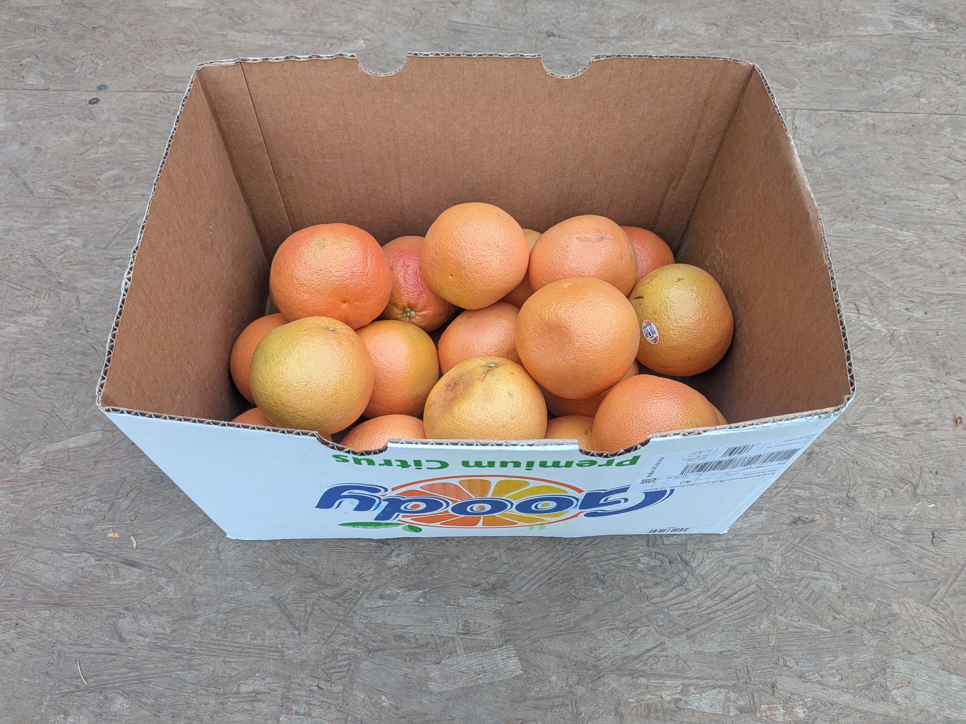 Grapefruit 20 count Citrus