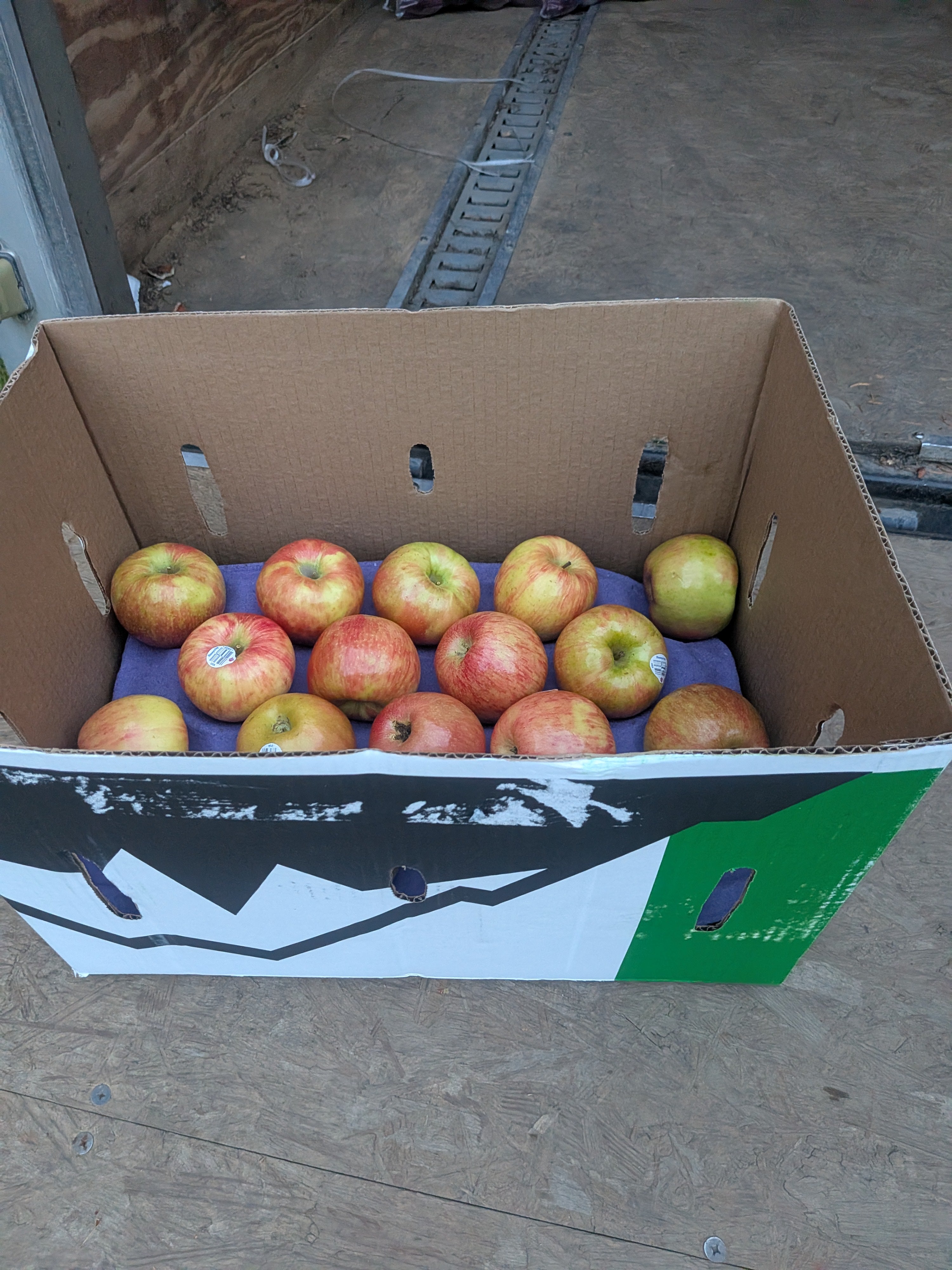 Apples Honeycrisp 20 pounds Apples