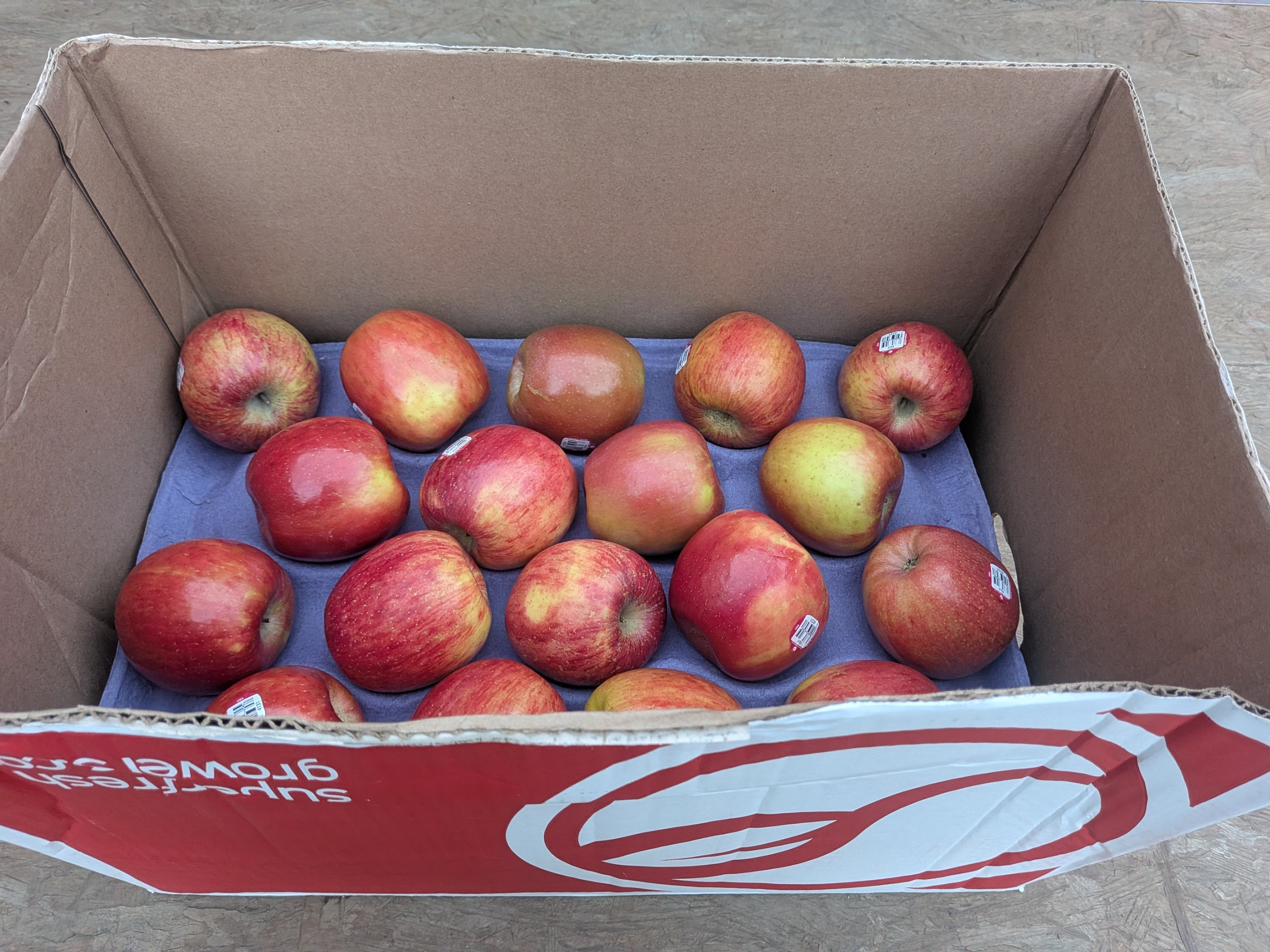 Apples Fuji 20 pounds Apples