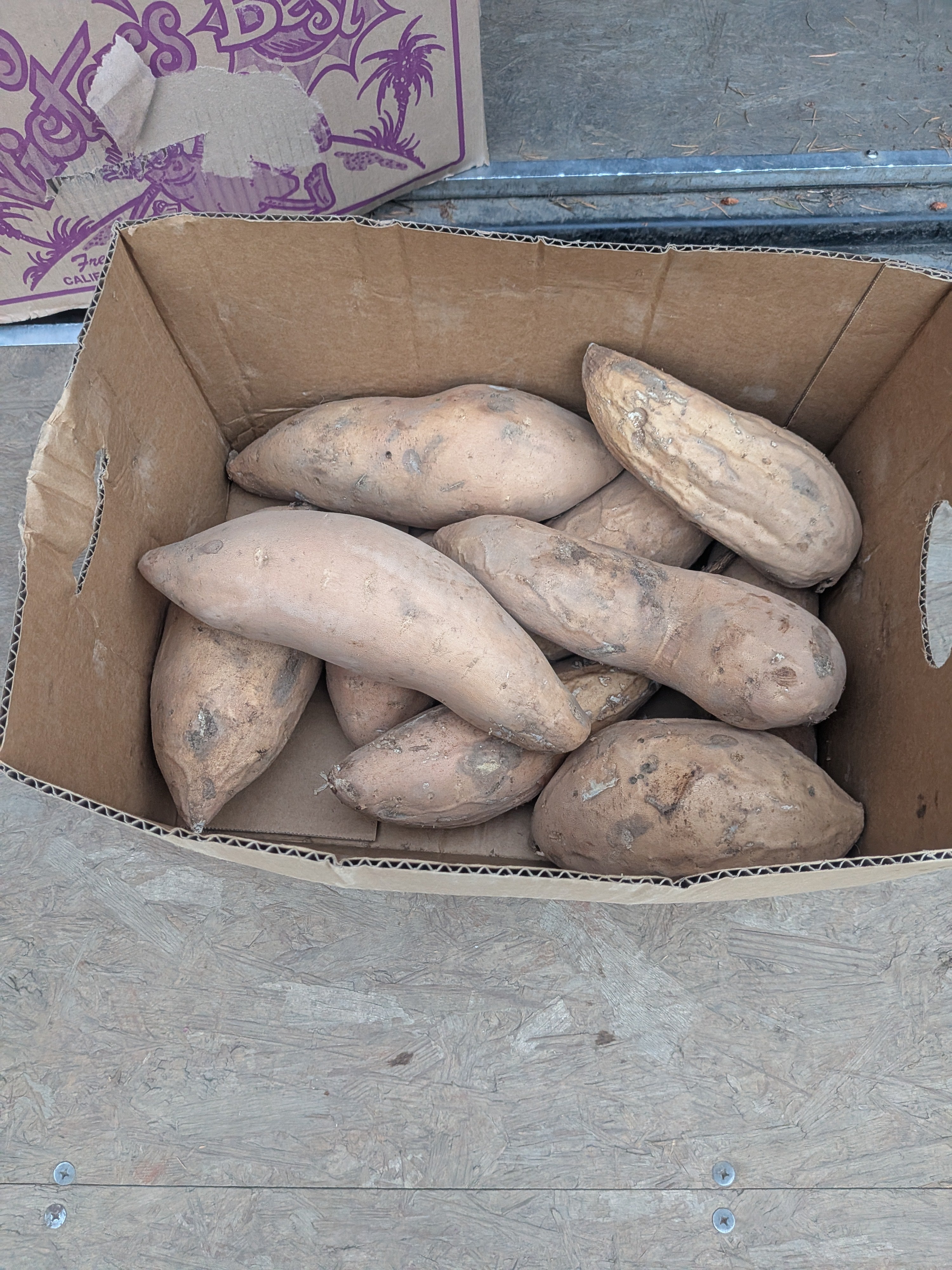 Sweet potato Jumbo 20 pounds Root Vegetables