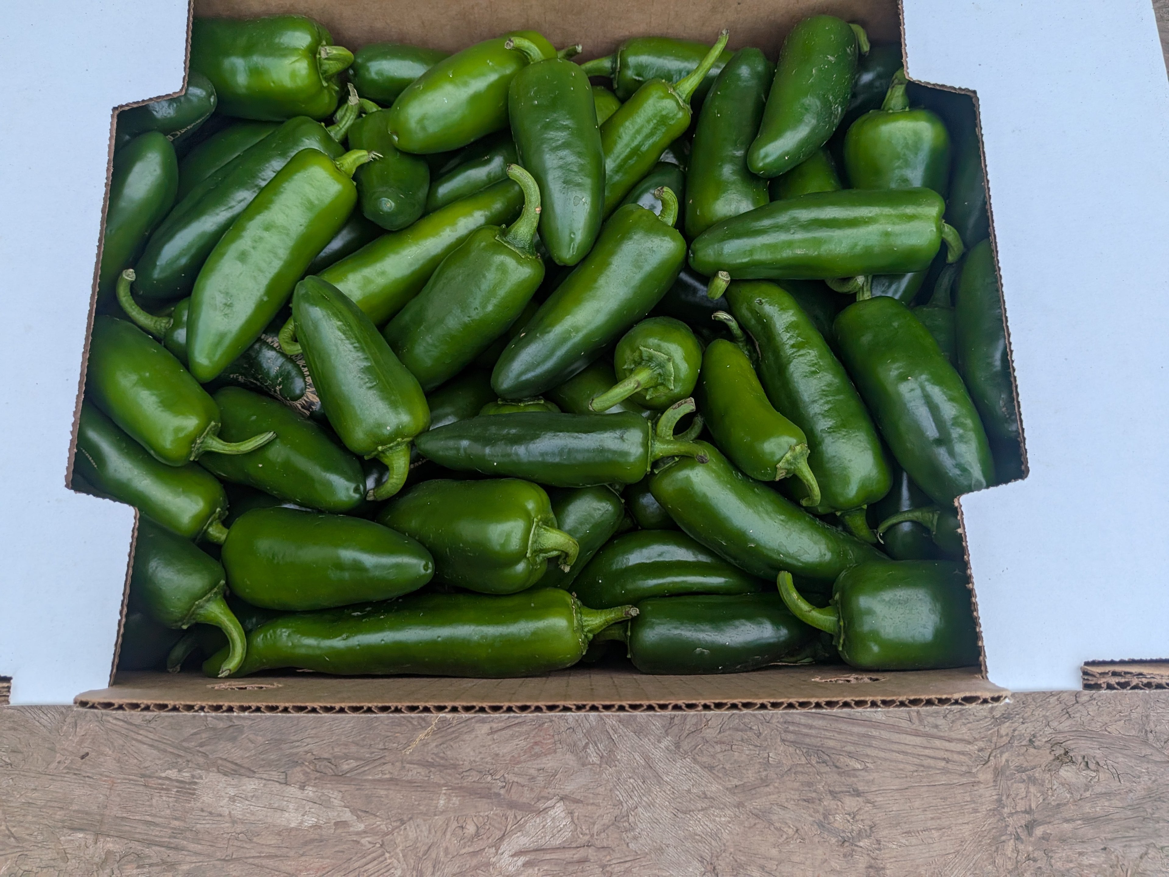 Peppers Jalapeno 15 pounds