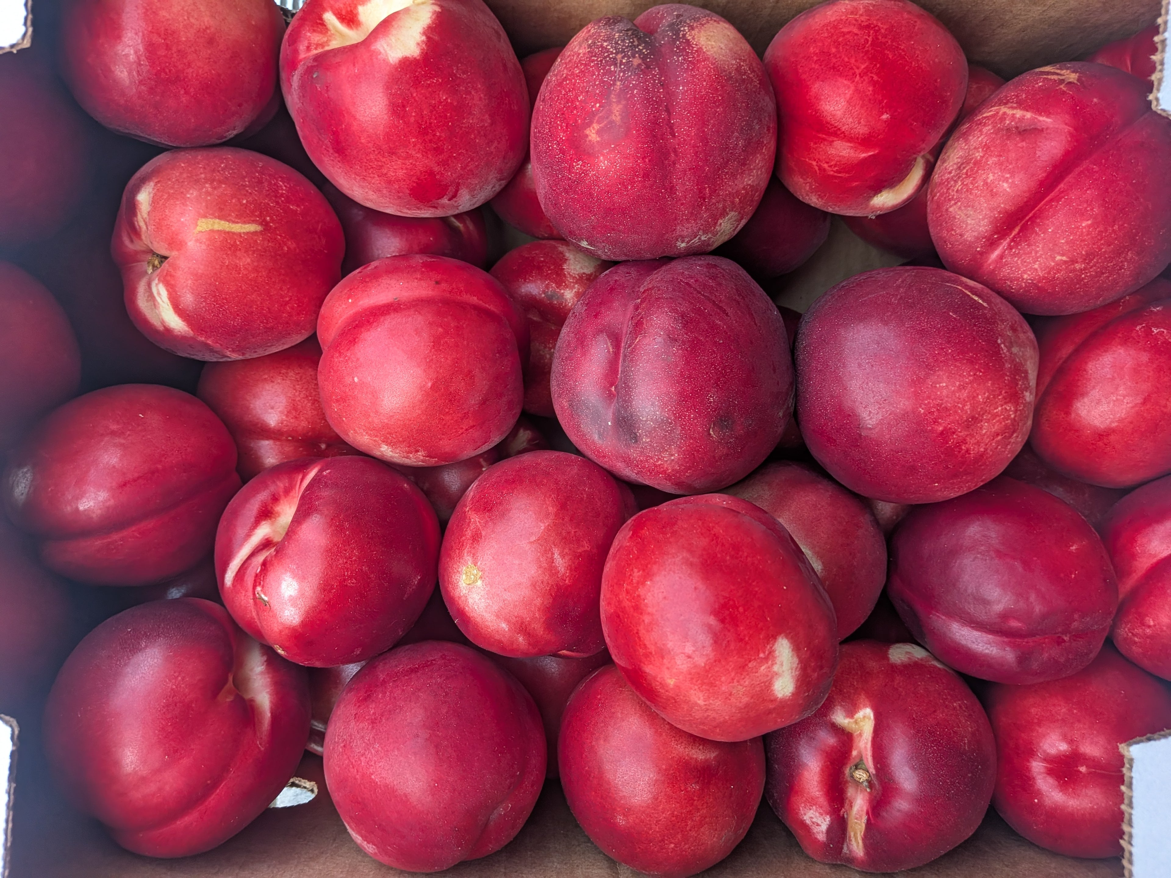 Nectarines organic white 20 pounds