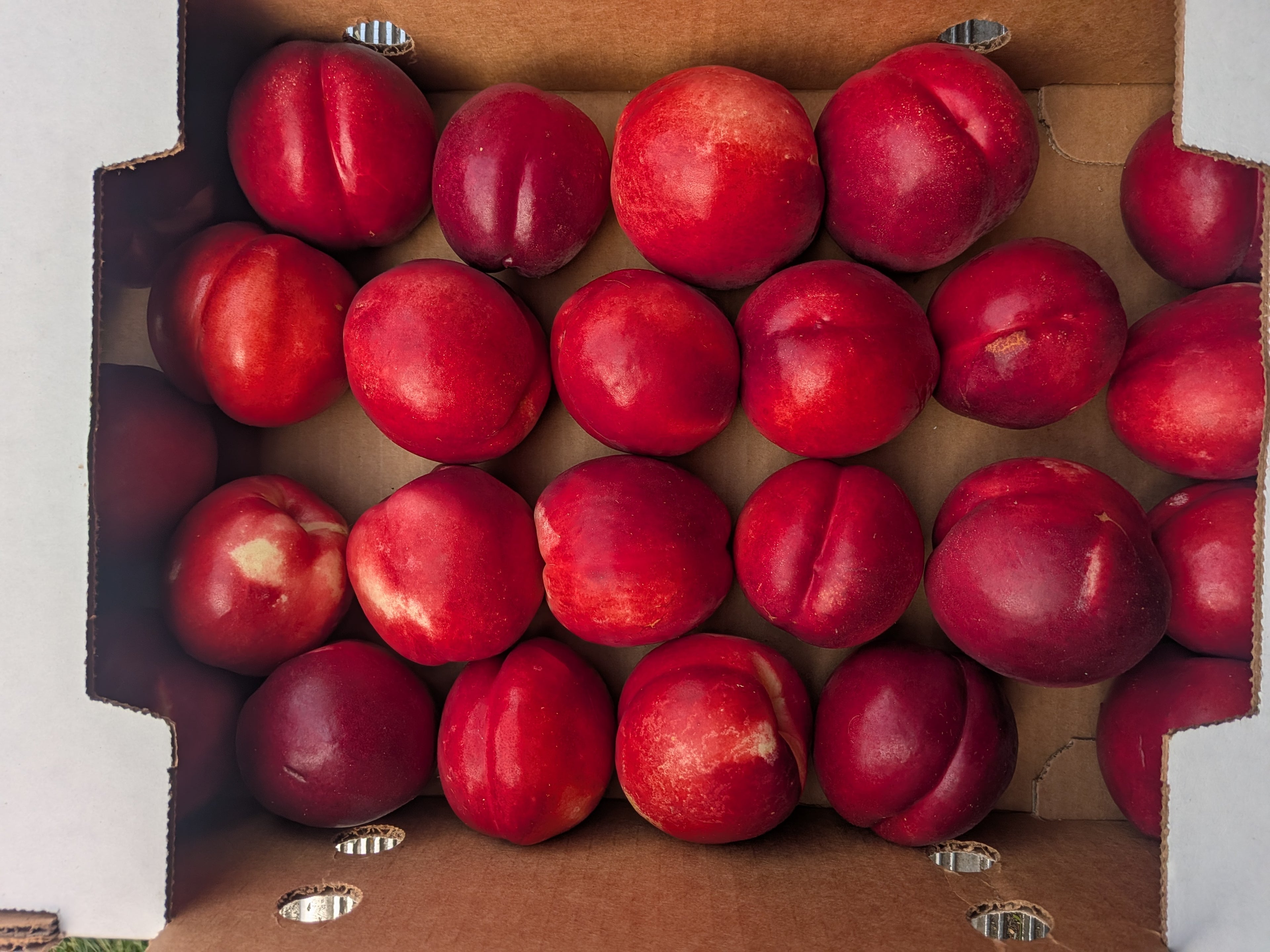 Nectarines Grand Sweet 10 pounds