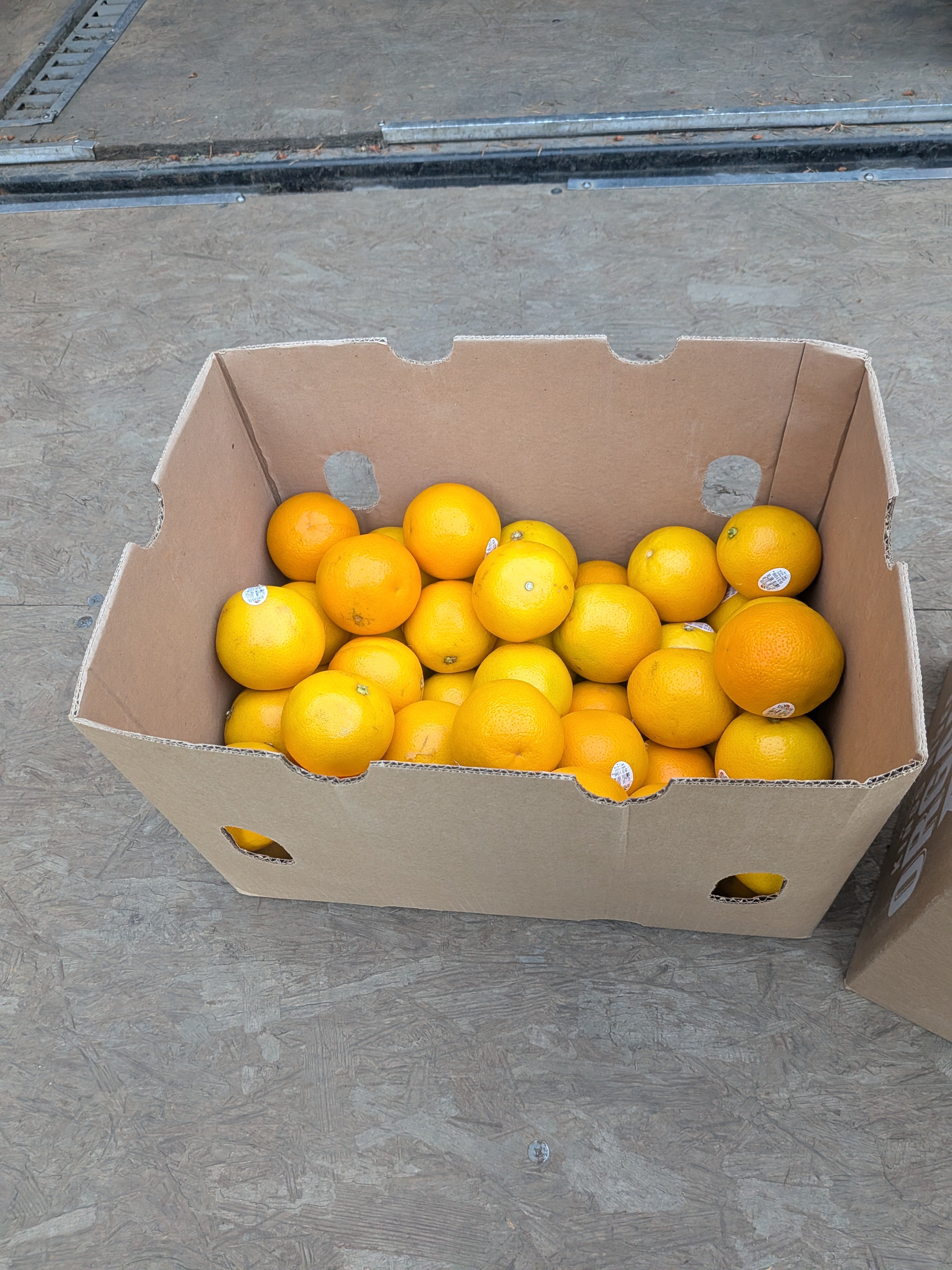 Oranges organic Valencia 19 pounds citrus