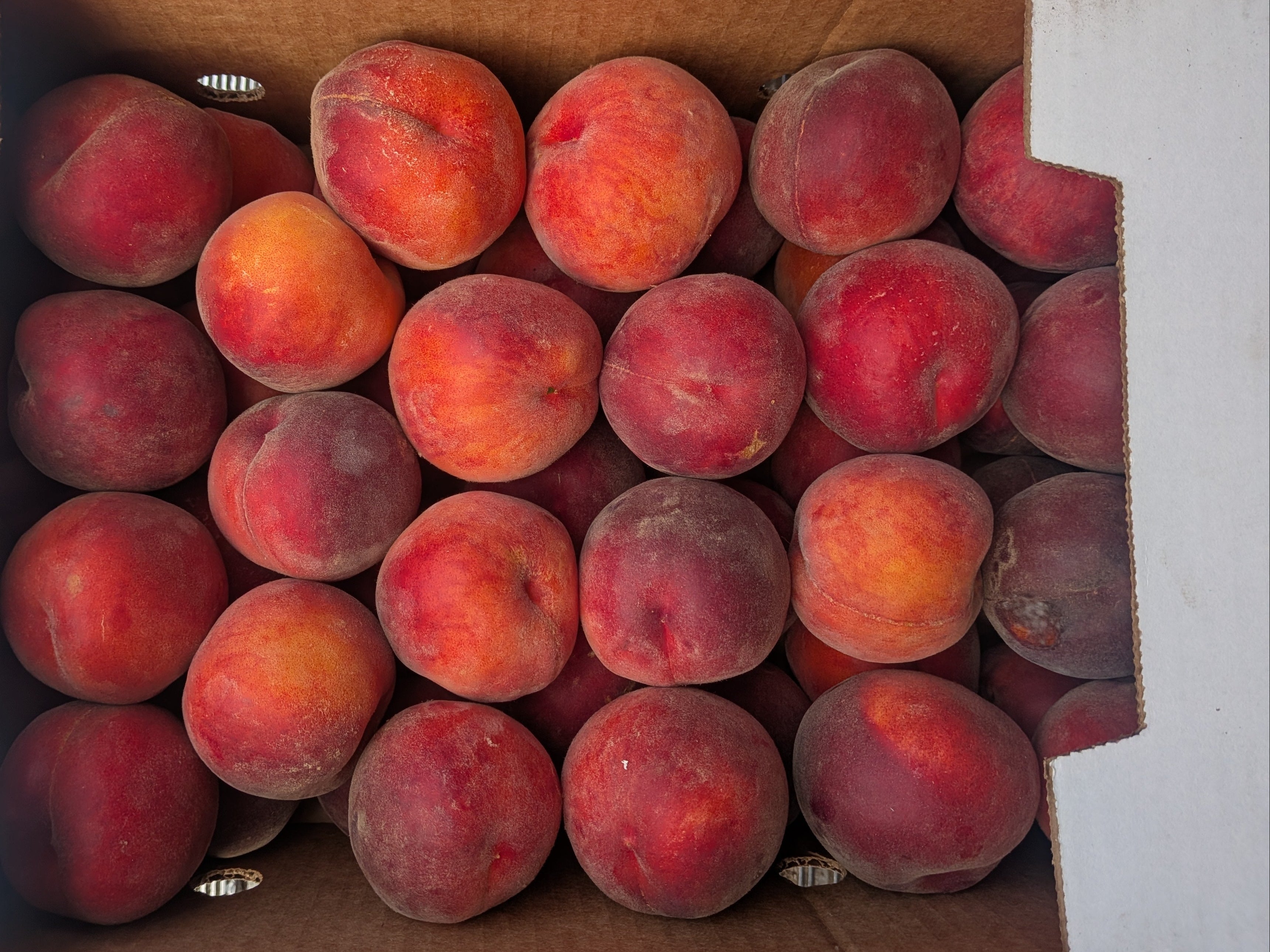 Peaches organic Sweet Dream 20 pounds