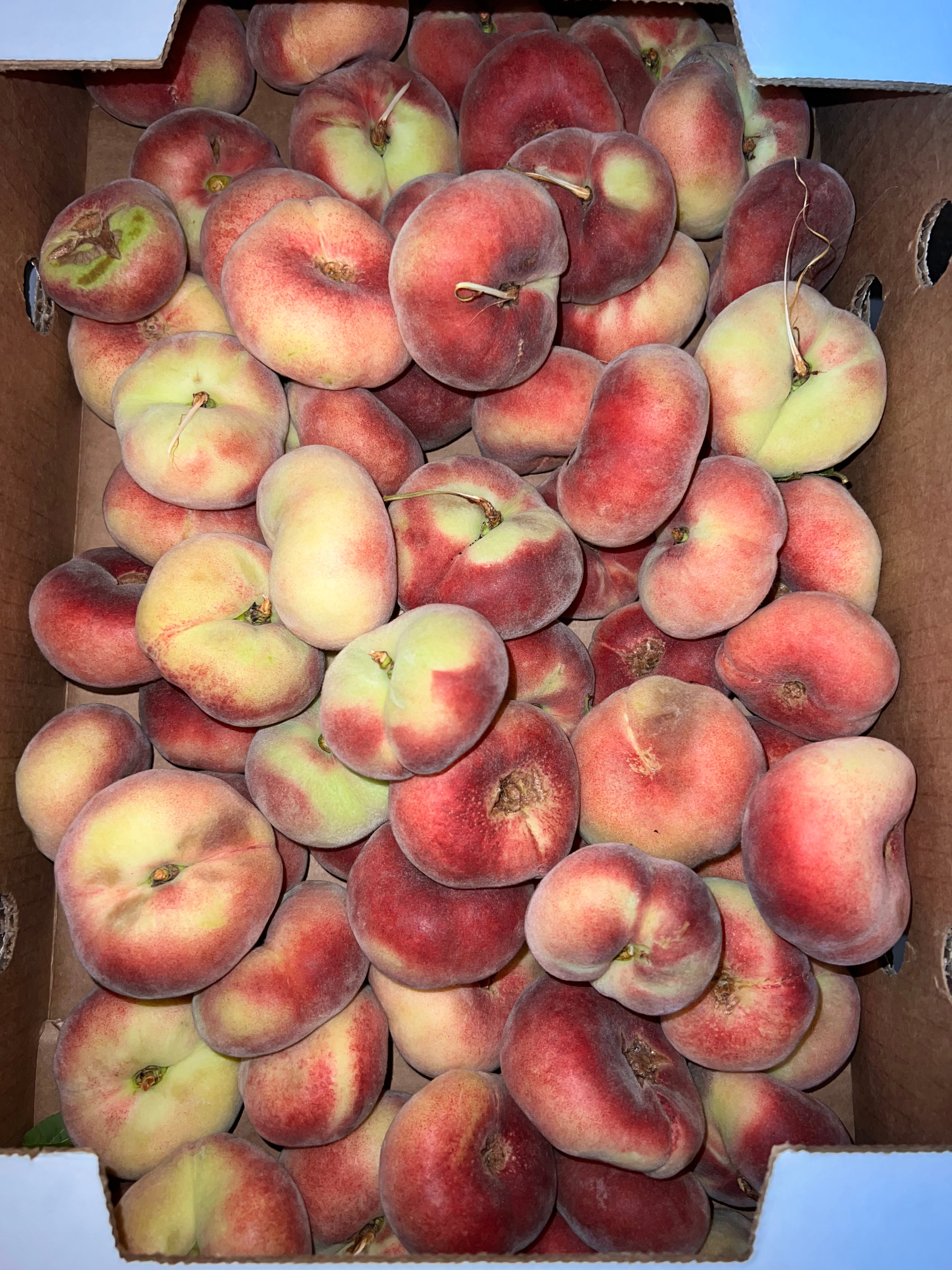 Peaches Organic Donut 10 pounds