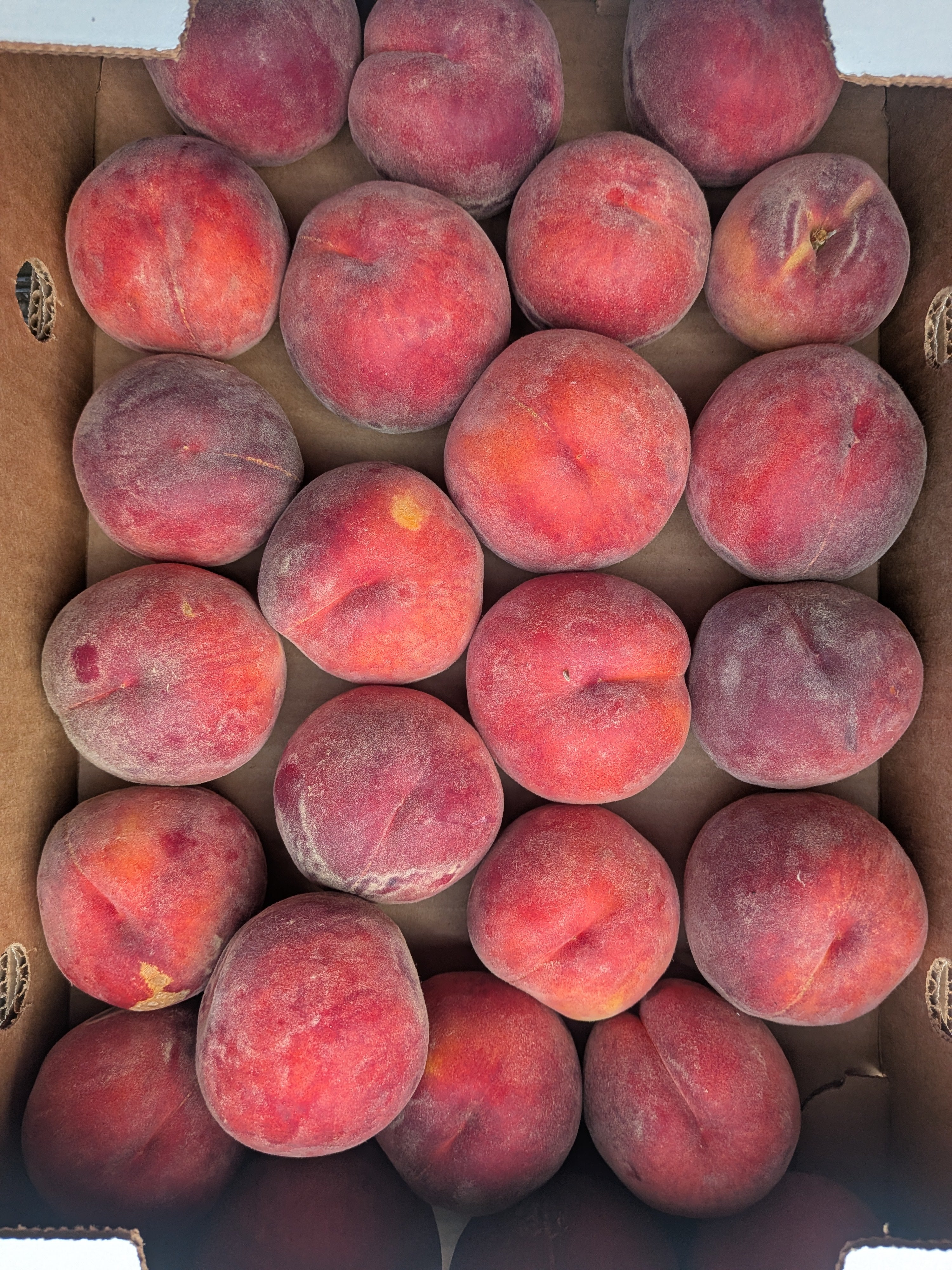 Peaches organic white 10 pounds