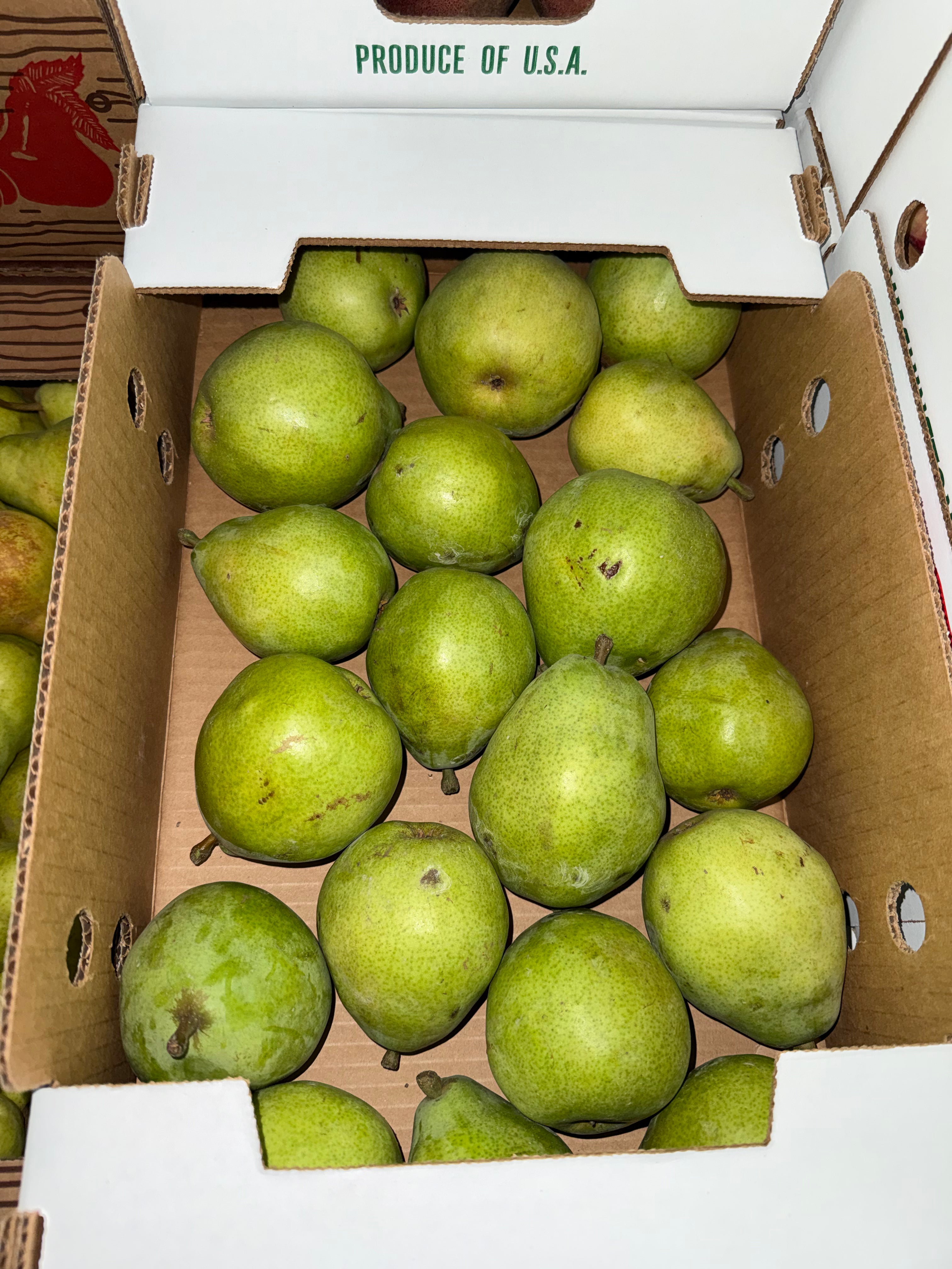Pears Anjou 10 pounds