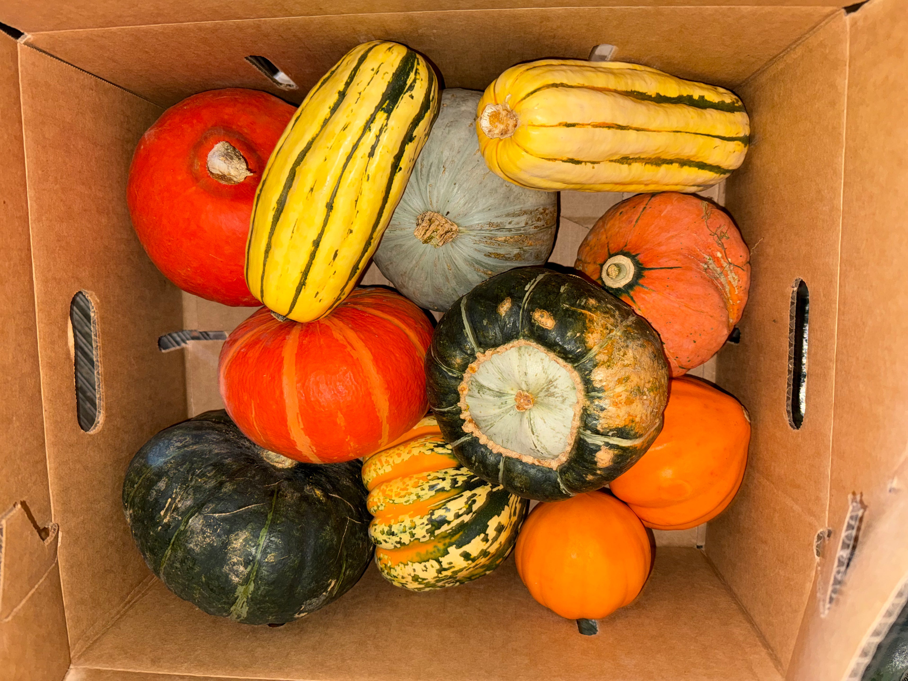 Squash Mixed 20 pounds