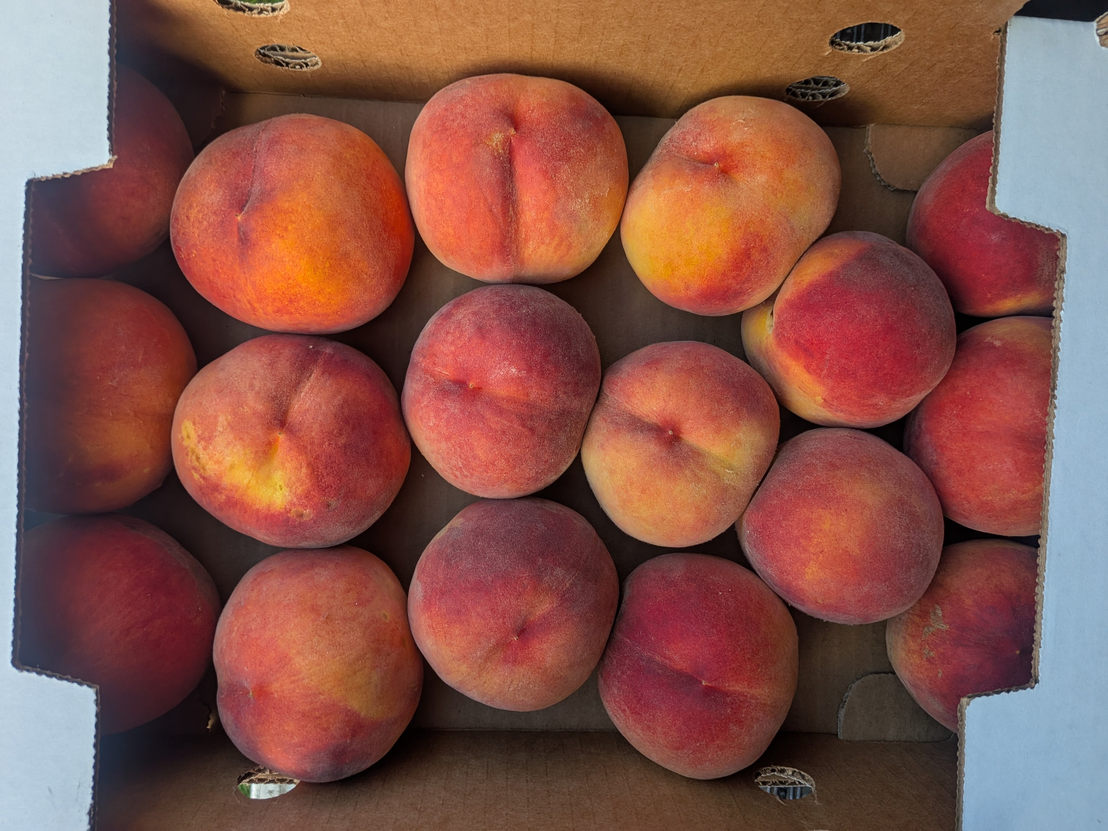 Peaches Suncrest 10 pounds