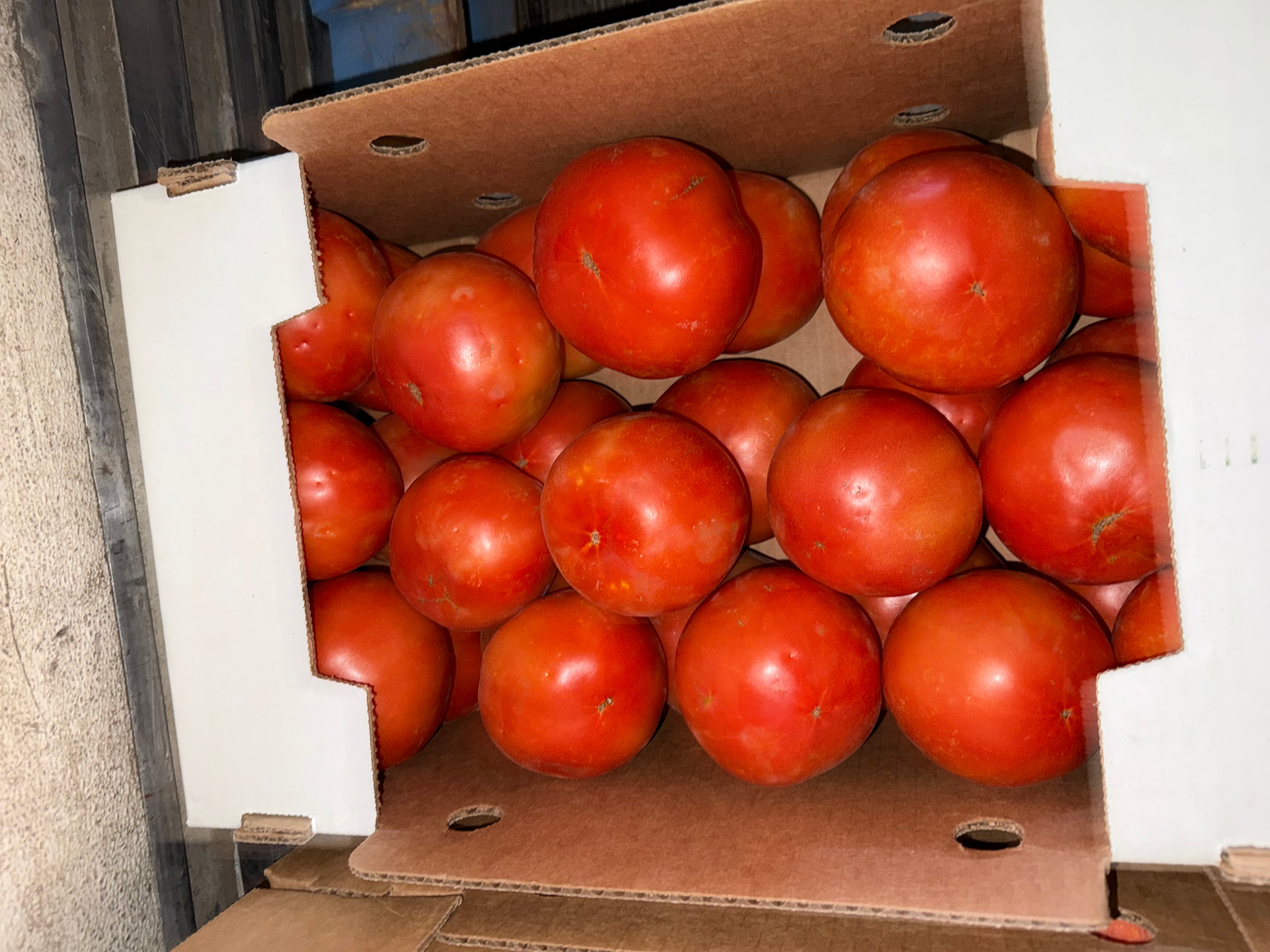 Tomato Slicing 20 pounds