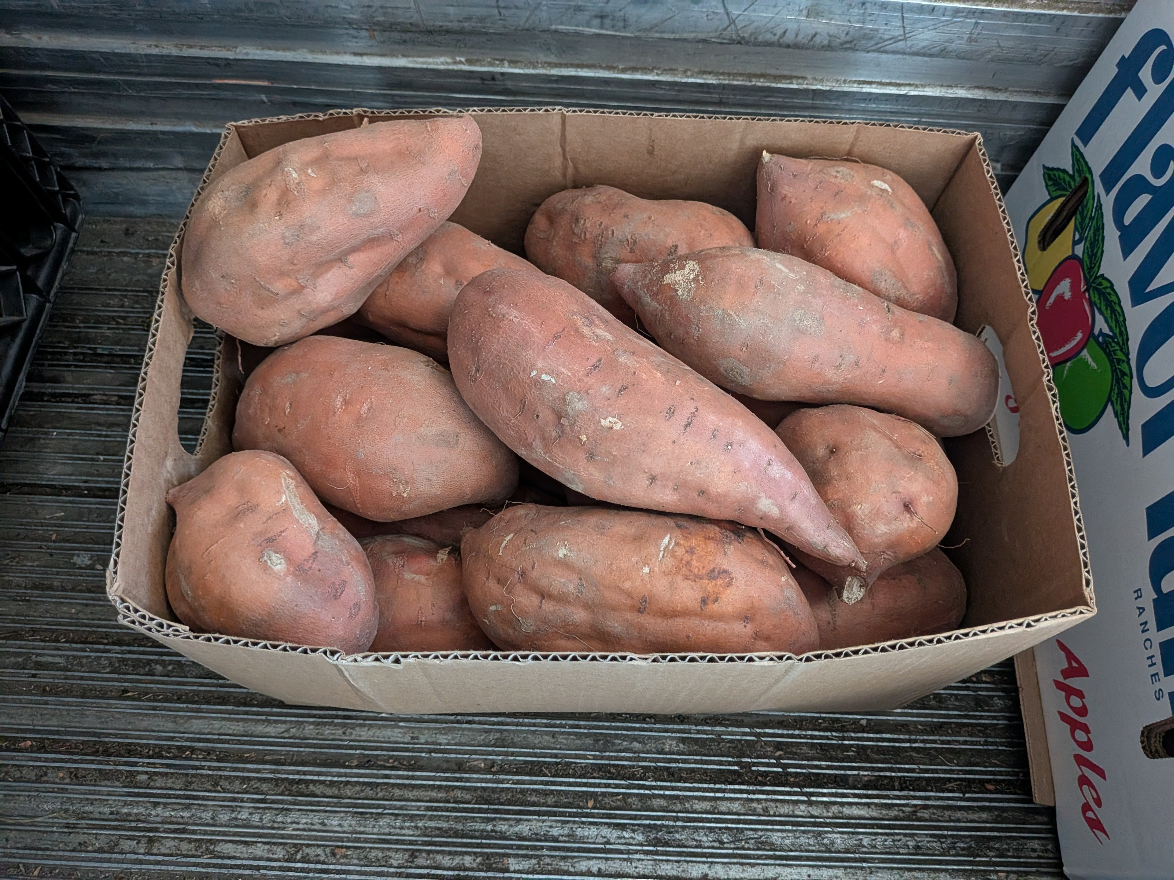 Yam Jumbo 40 pounds